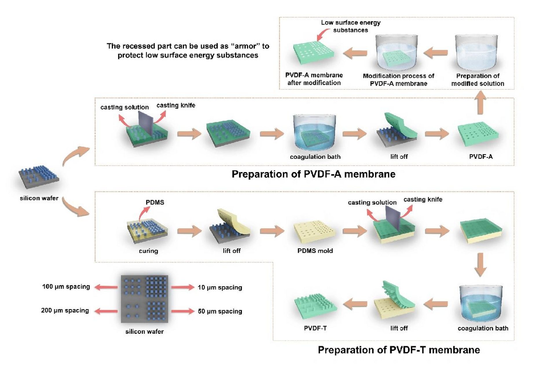 科研绘制实验流程图90|最简单的方式绘图 干货分享|一起为科研添砖