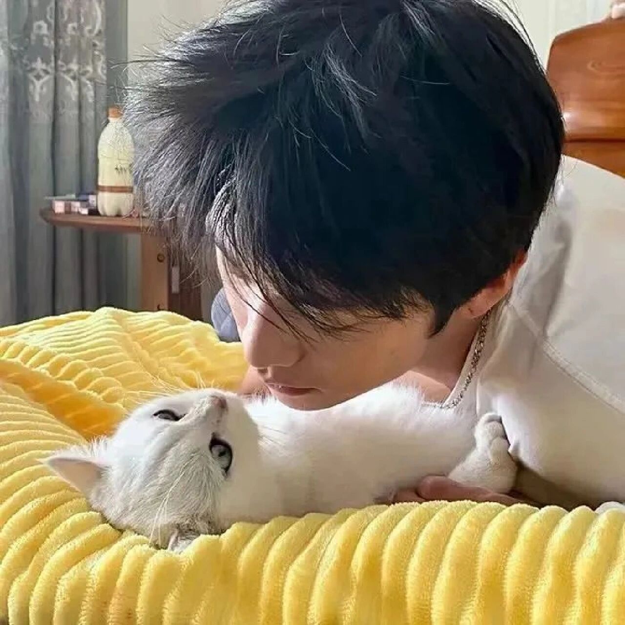 男生头像|招桃花头像 风格不被定义我爱即高级 喜欢自取 礼貌拿图