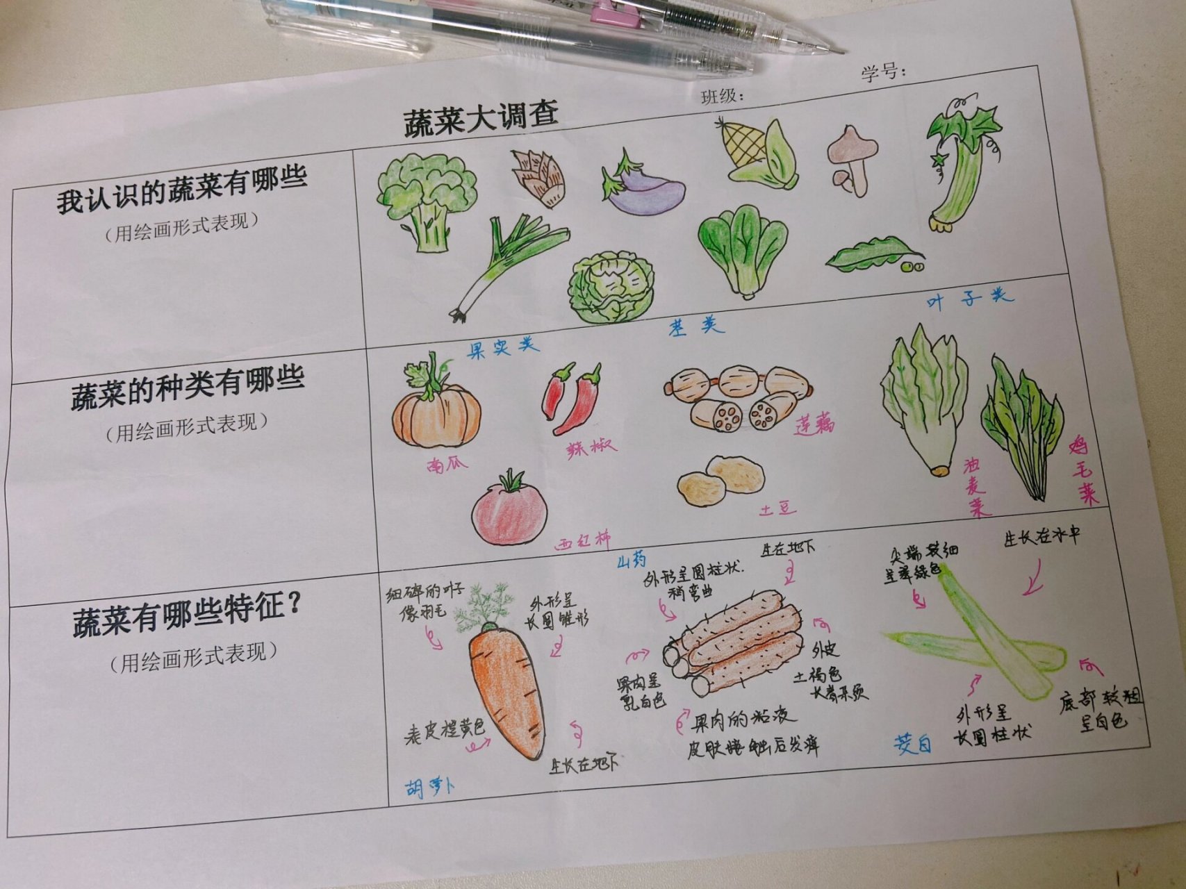 幼儿园绘画作业-蔬菜大调查 还是第一次画蔬菜🥬类的,上翻了一圈东