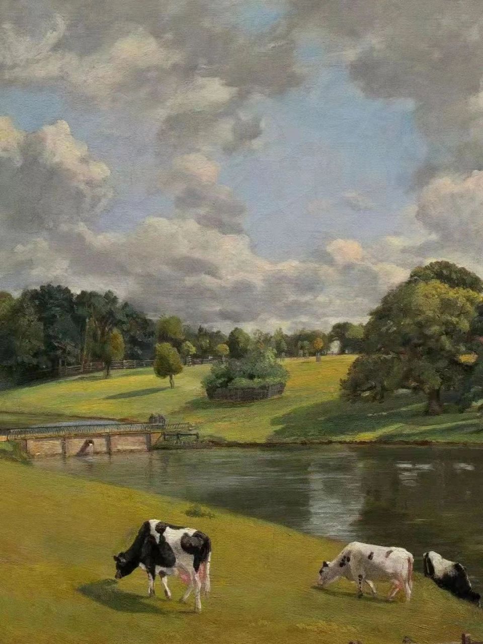 《听鲸》by流苏小说全文完结阅读 《听鲸》by流苏小说全文完结阅读(亲