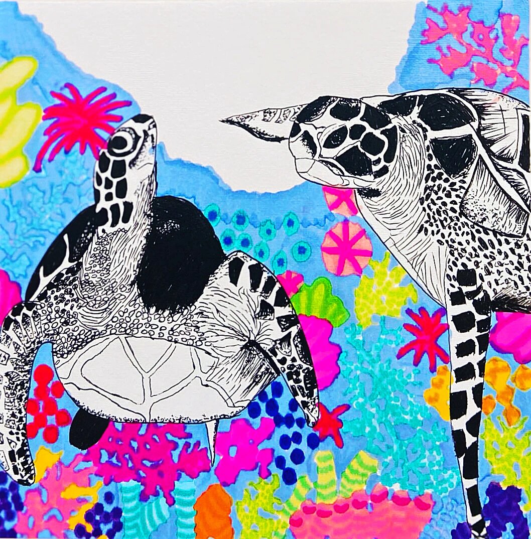 创意美术-线描-《海龟》 适合:二年级 材料:1.