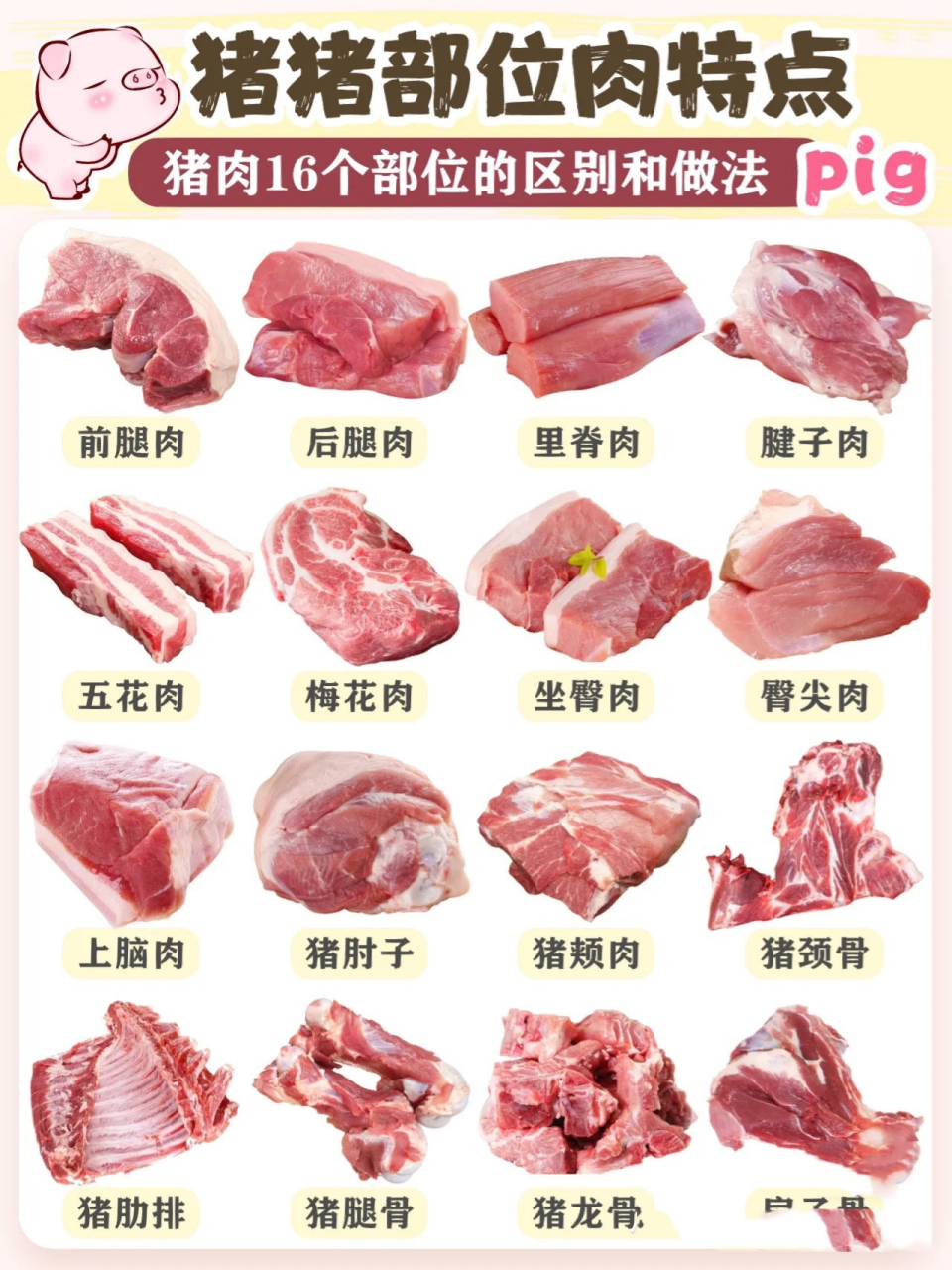 其实挑选猪肉也很有讲究  	 09前腿肉:灵活性很强,有肥有瘦 	 所含