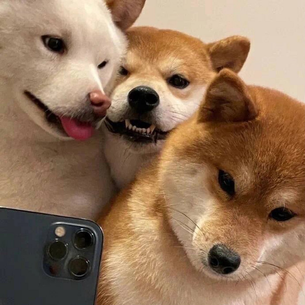 超哇塞的三人头像 我们的友谊差一个有趣的头像