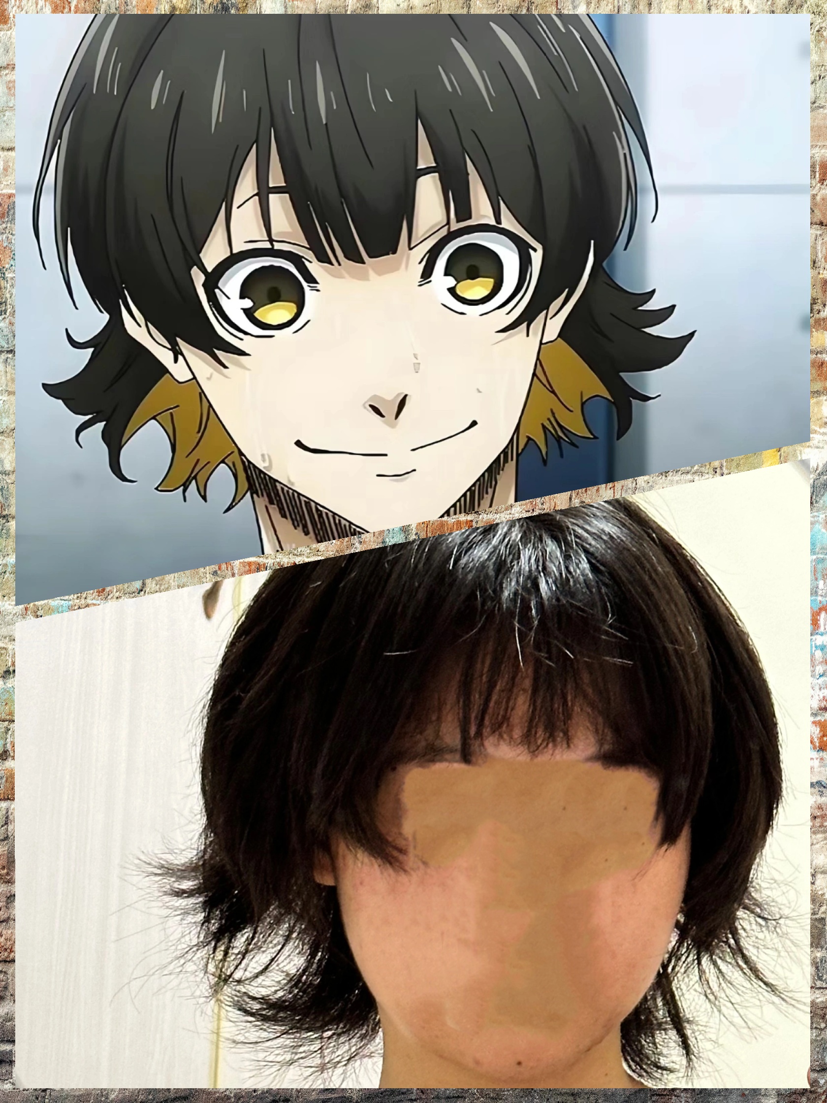 蜂乐回 趣味新发现