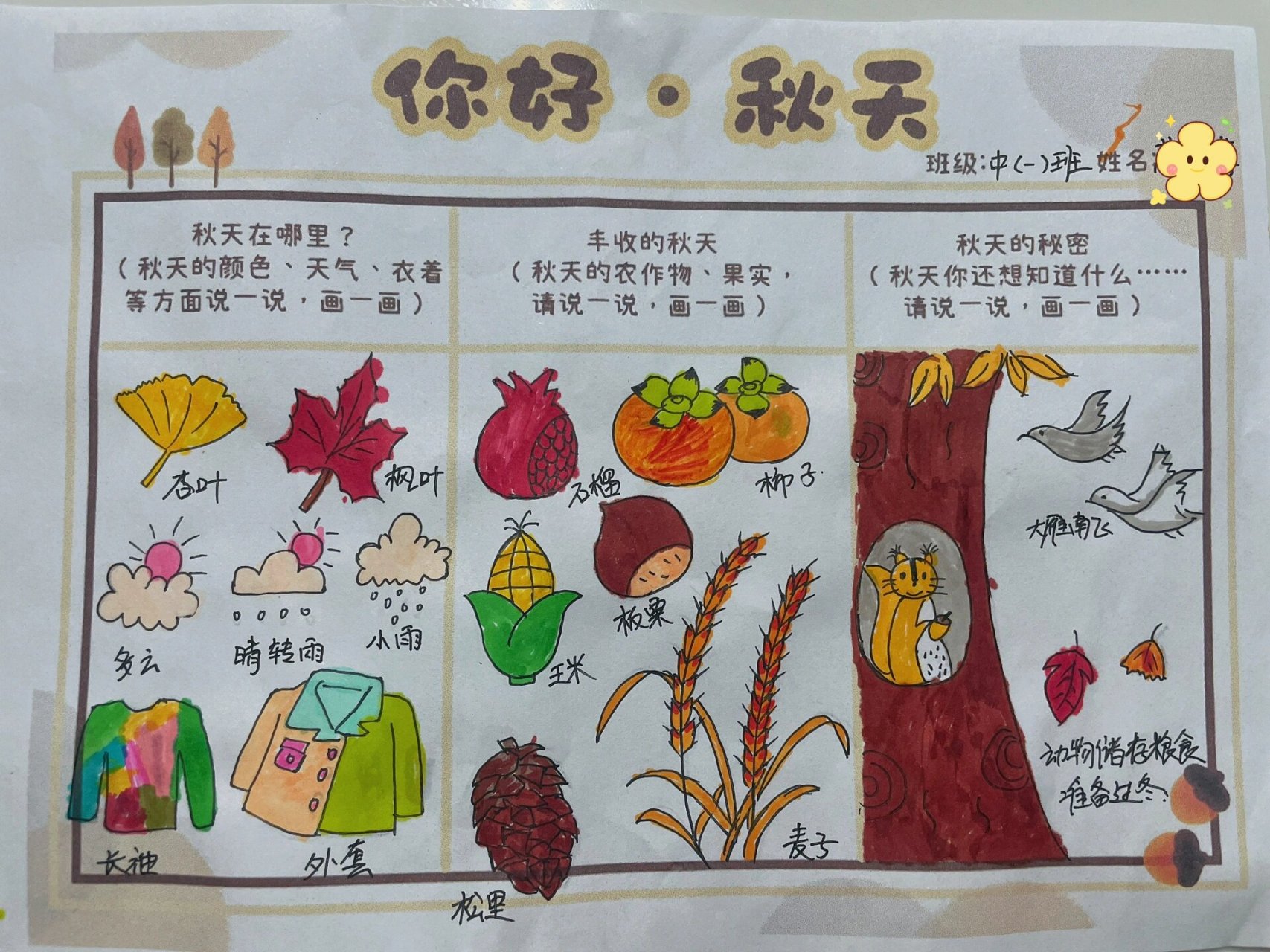 幼儿园秋季种植调查表图片