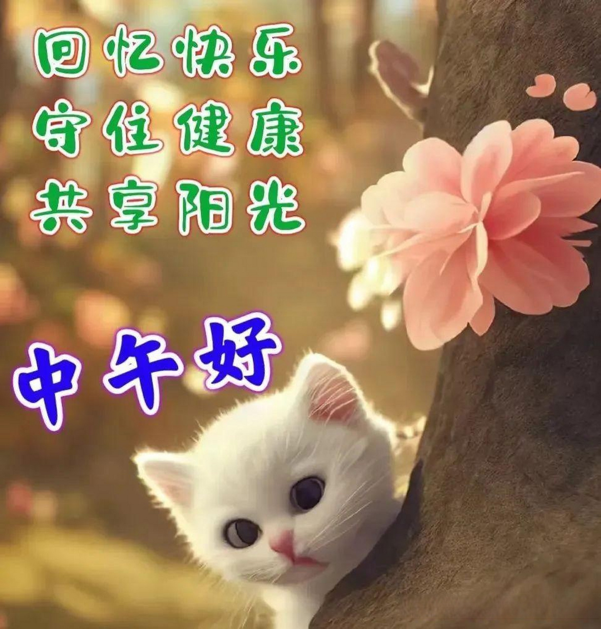 20中午好最好的祝福,中午美图大全,午安问候图 友情是我们最可靠的