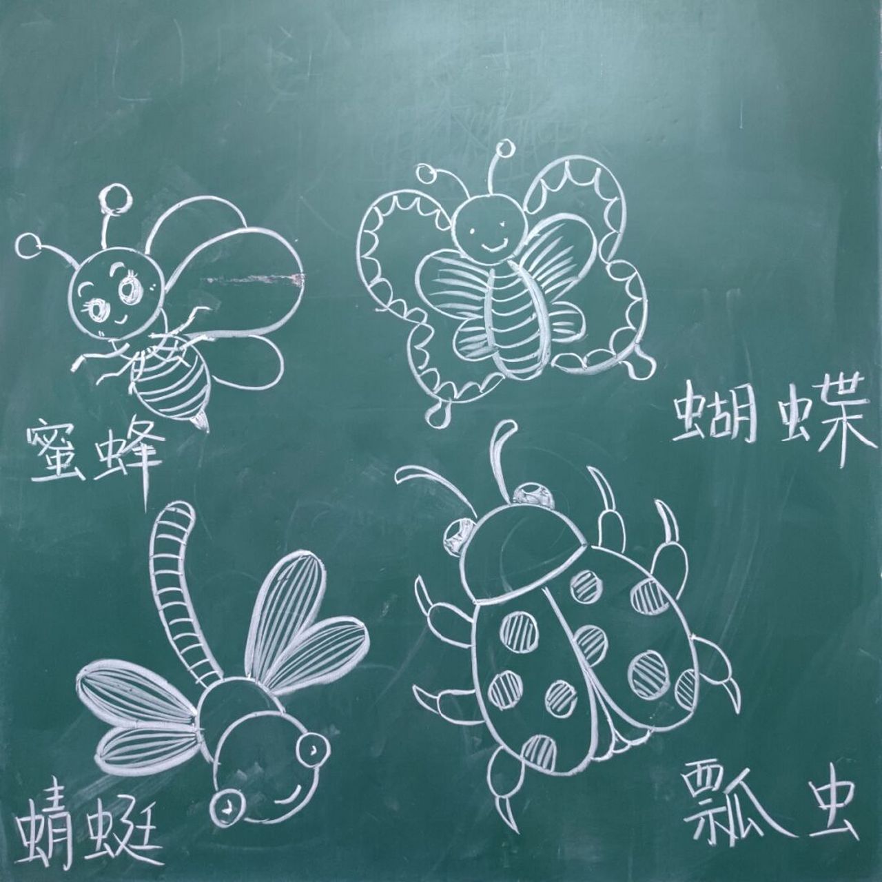 小学美术|儿童画|简笔画|粉笔画昆虫 #黑板画# #小学美术# #可爱简笔