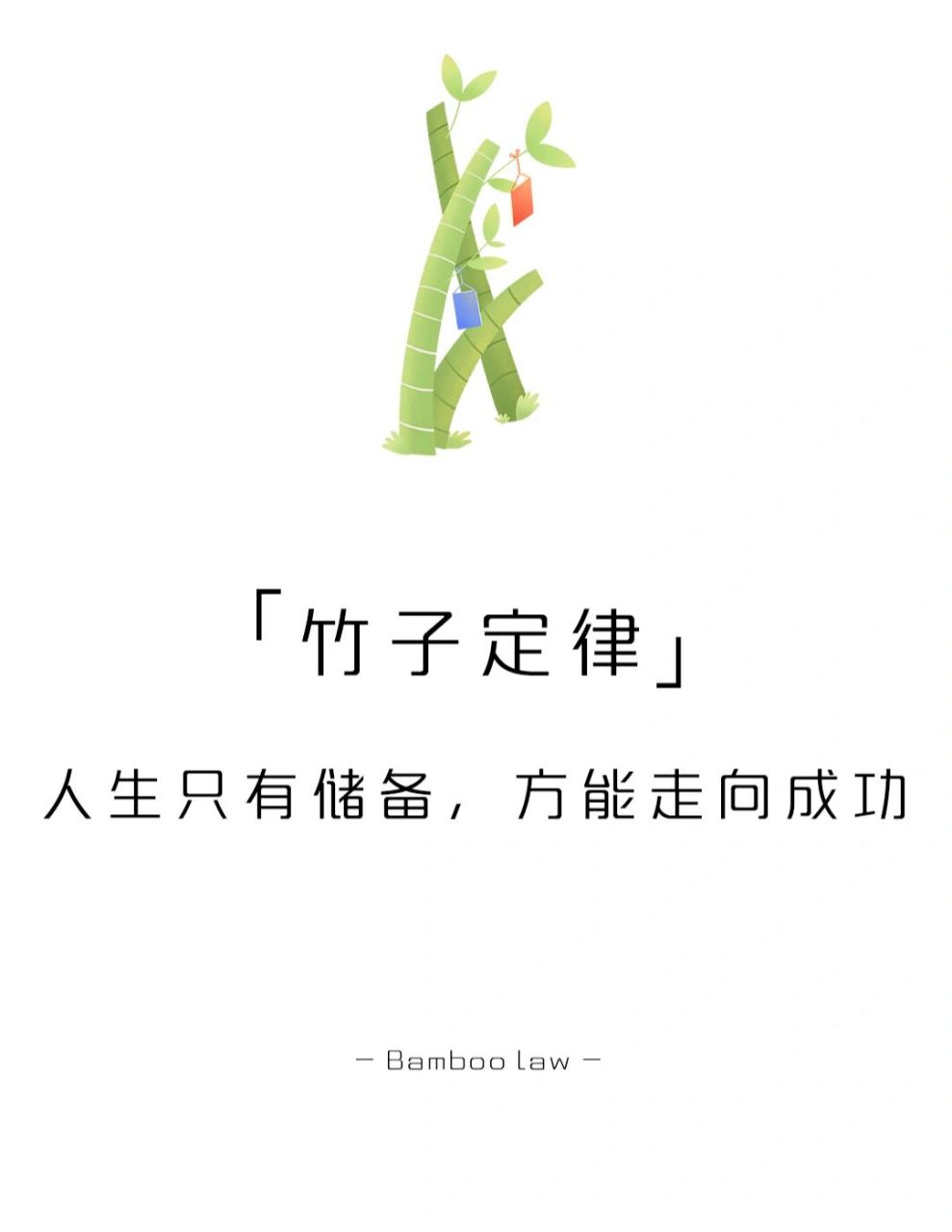 【每天一点心理学】竹子定律 #学点儿心理学# #心理学# #心理学效应