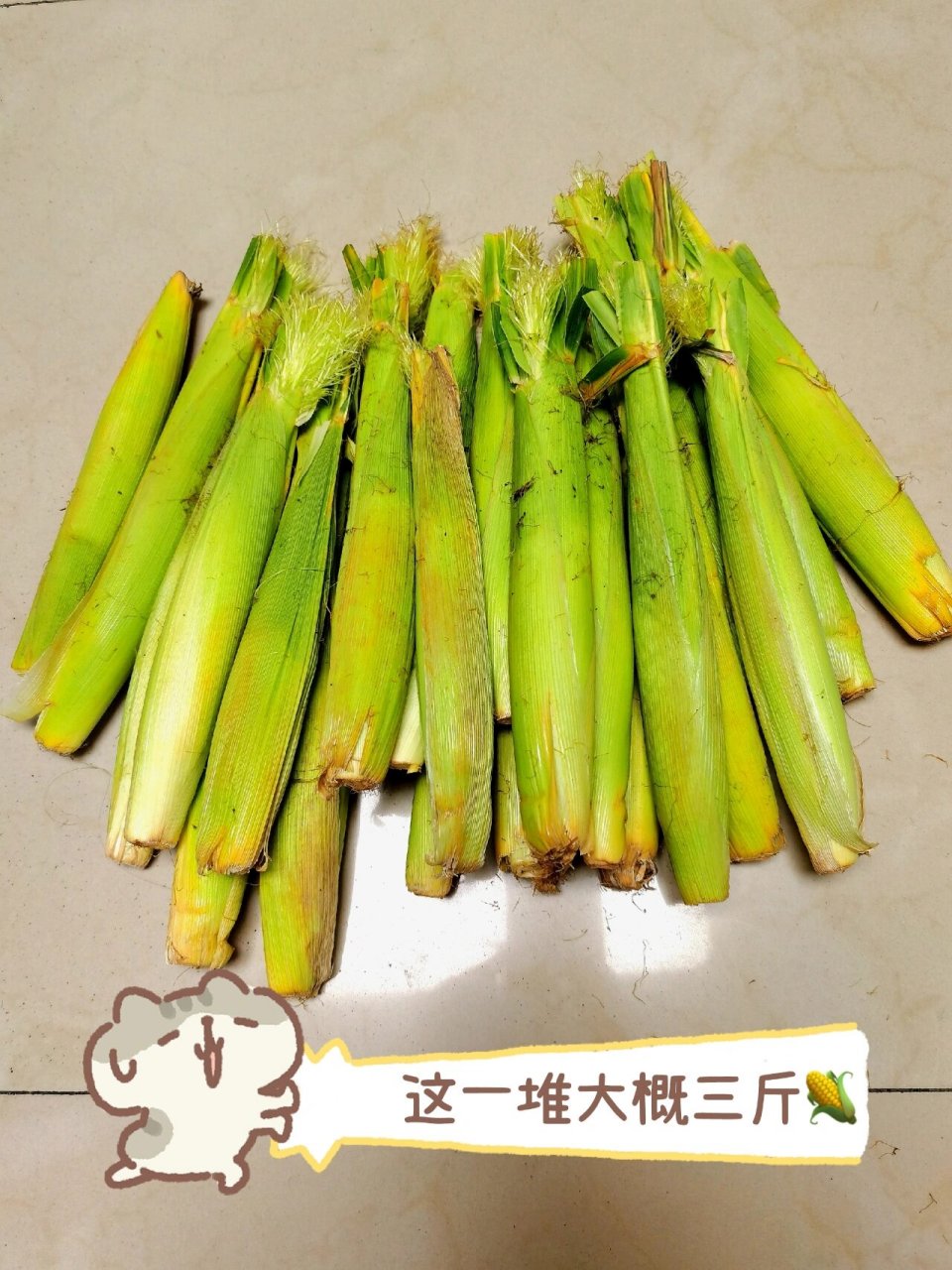 玉米笋自由实现了99超新鲜才2块多一斤 买到了超新鲜的玉米笋99忍