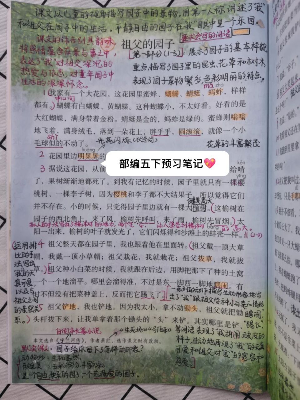 祖父的园子》 #五年级下册语文# #五下预习笔记# #祖父的园子