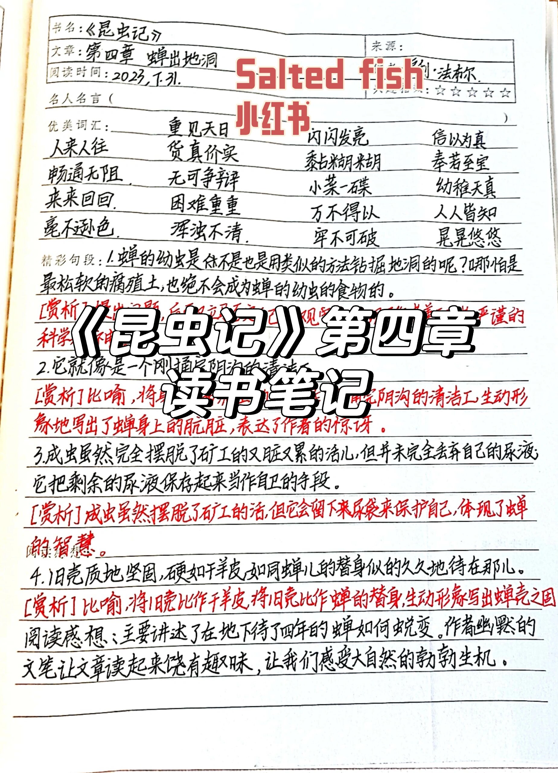 《昆虫记》第四章读书笔记