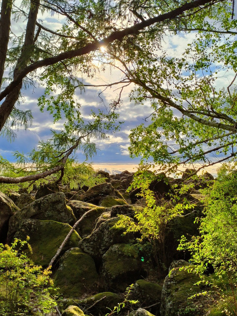 五大连池龙门石寨 你们说除了石头还是石头,可我觉得好漂亮,去了五大