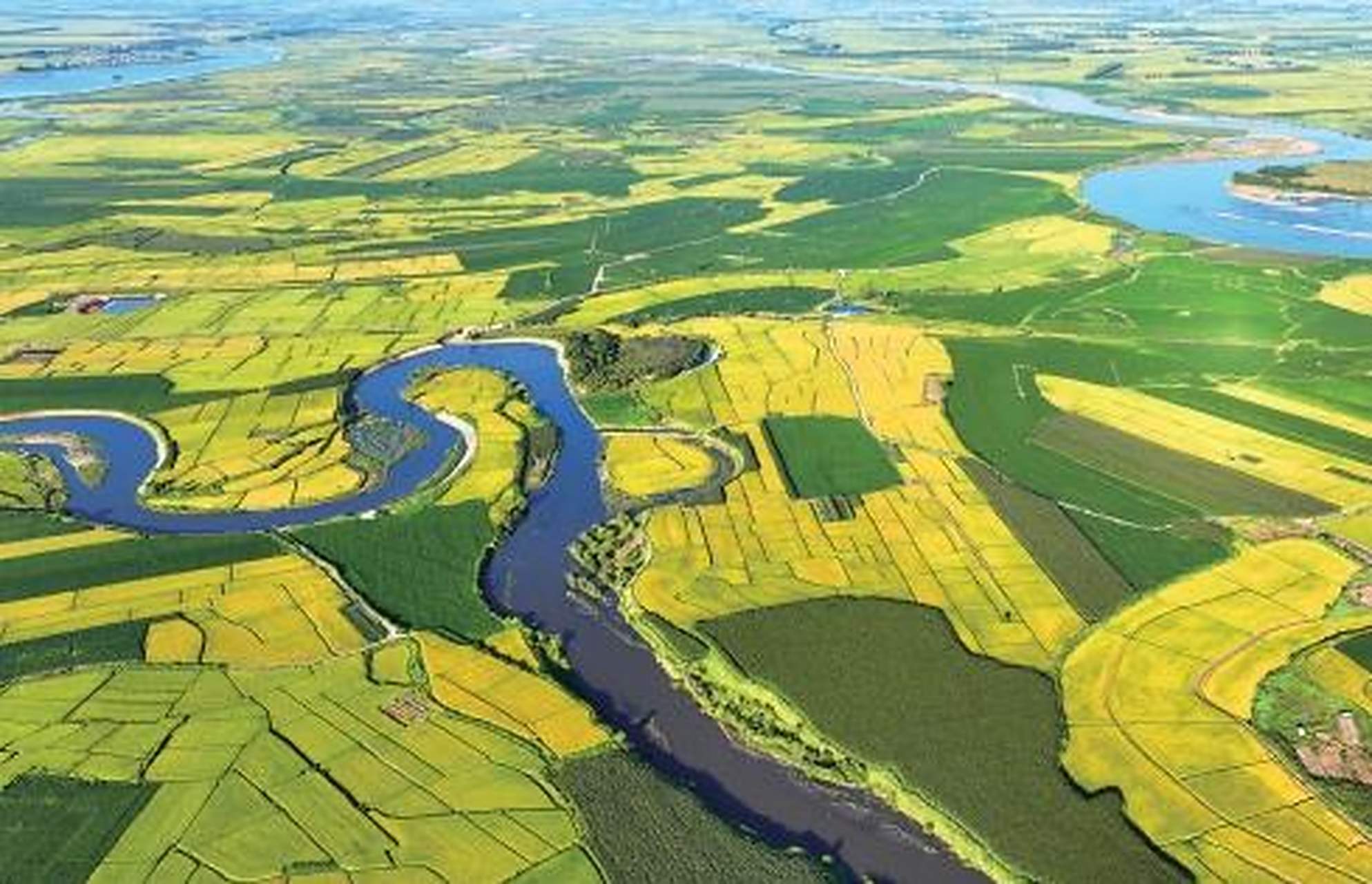 在中国寒地香米之乡——黑龙江省绥化市北林区,水稻已经进入蜡熟期