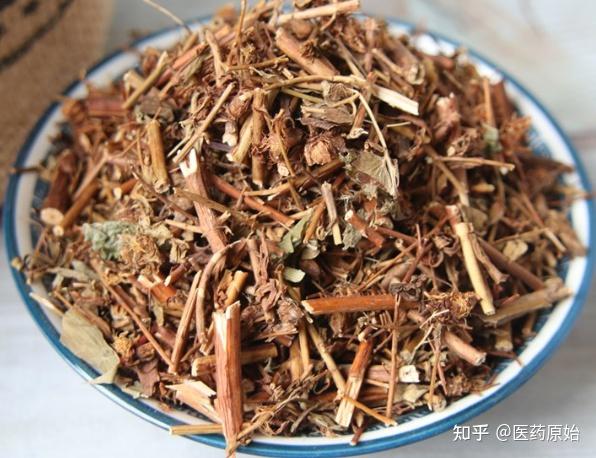 带你识别贯叶金丝桃