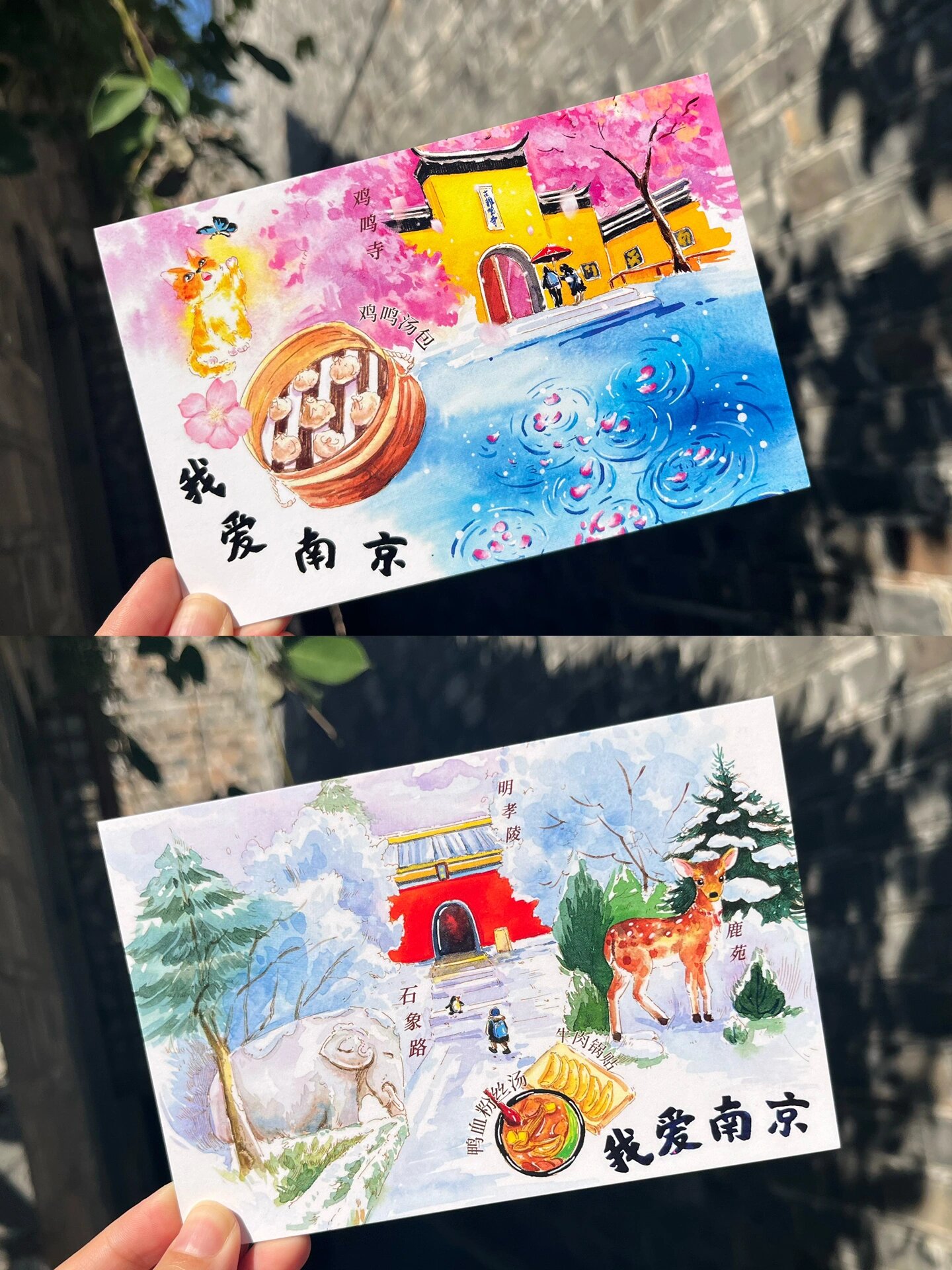 南京明信片|背面也可爱
