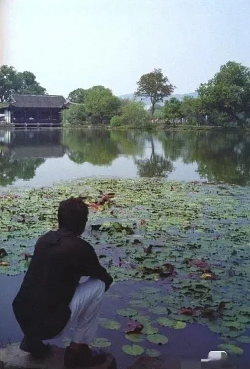 张国荣的西湖之旅 2000年, 张国荣来杭州开演唱会,他一共待了三天