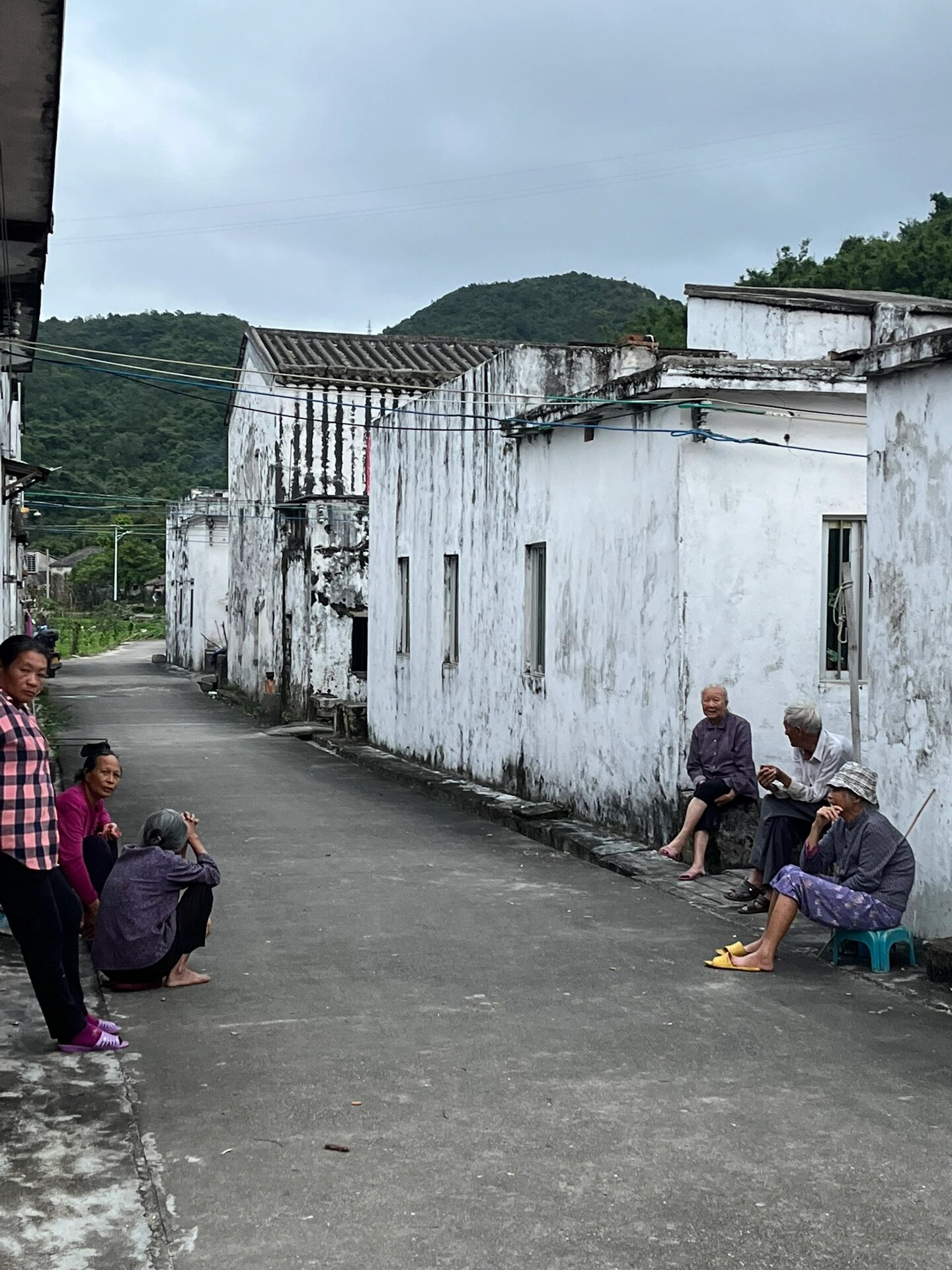 江门台山的乡村