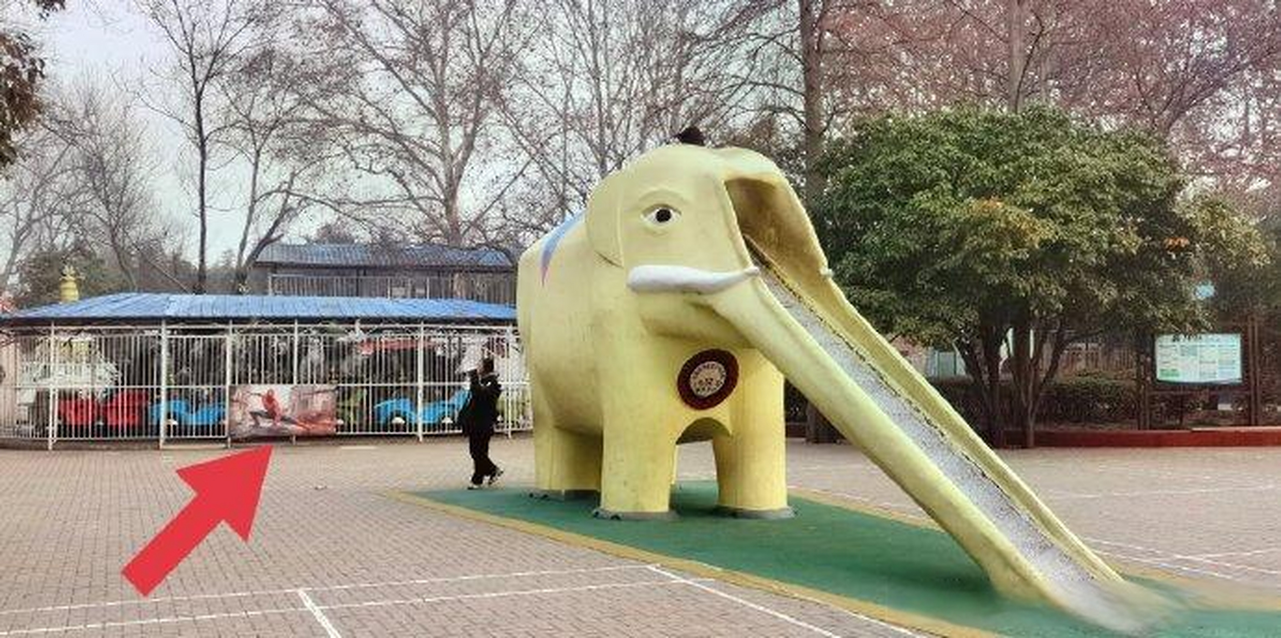 据网友:晨起在信阳市浉河公园icon锻炼,路过公园大象滑滑梯相邻北侧的