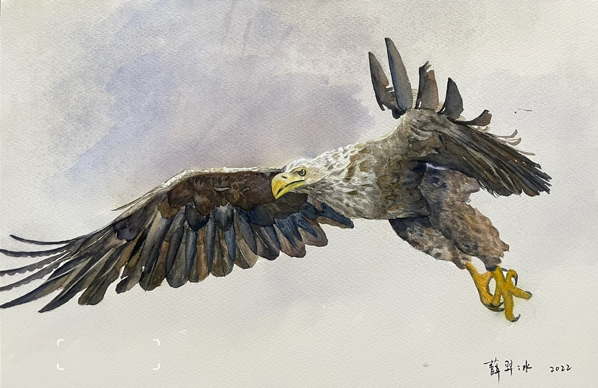 水彩 《乘风破浪》 喜欢的动物——鹰 尺寸:56x38