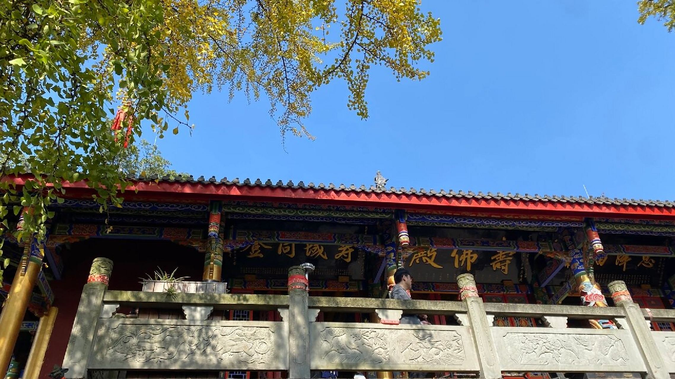 慈云寺-金堂云顶山 金堂云顶山|唐代十大古寺|小众周末游佳地 古柏