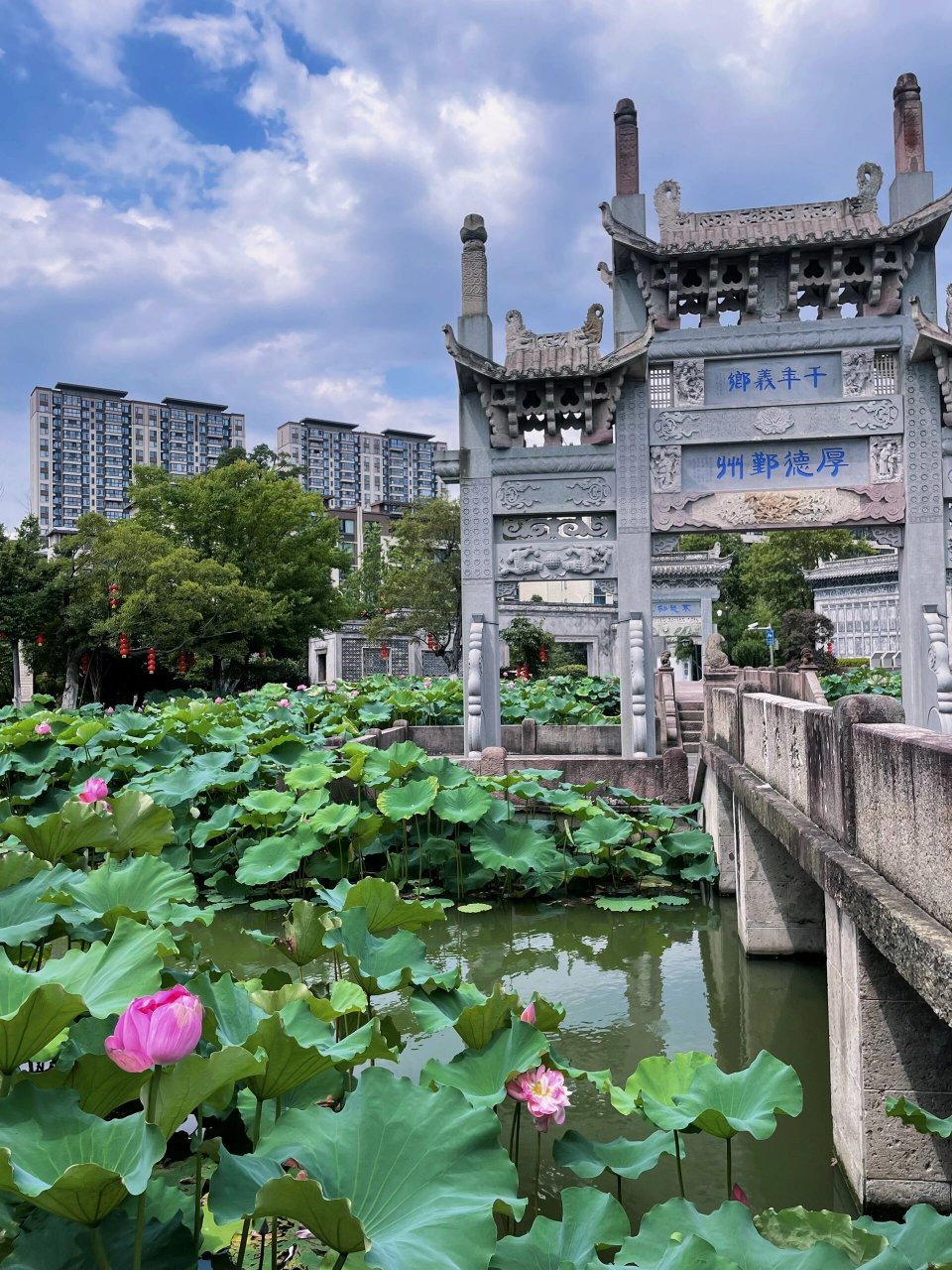 赏荷小院儿03宁波善园03 宁波小众景点民国风老洋房,善园.