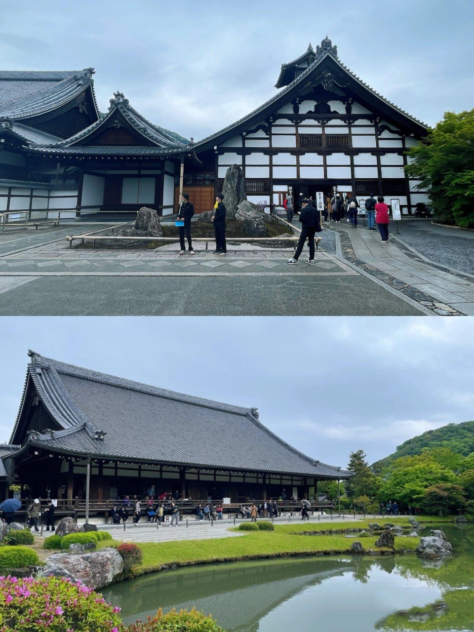 97京都岚山 金阁寺一日游7515|超详细攻略95 如果你计划前往