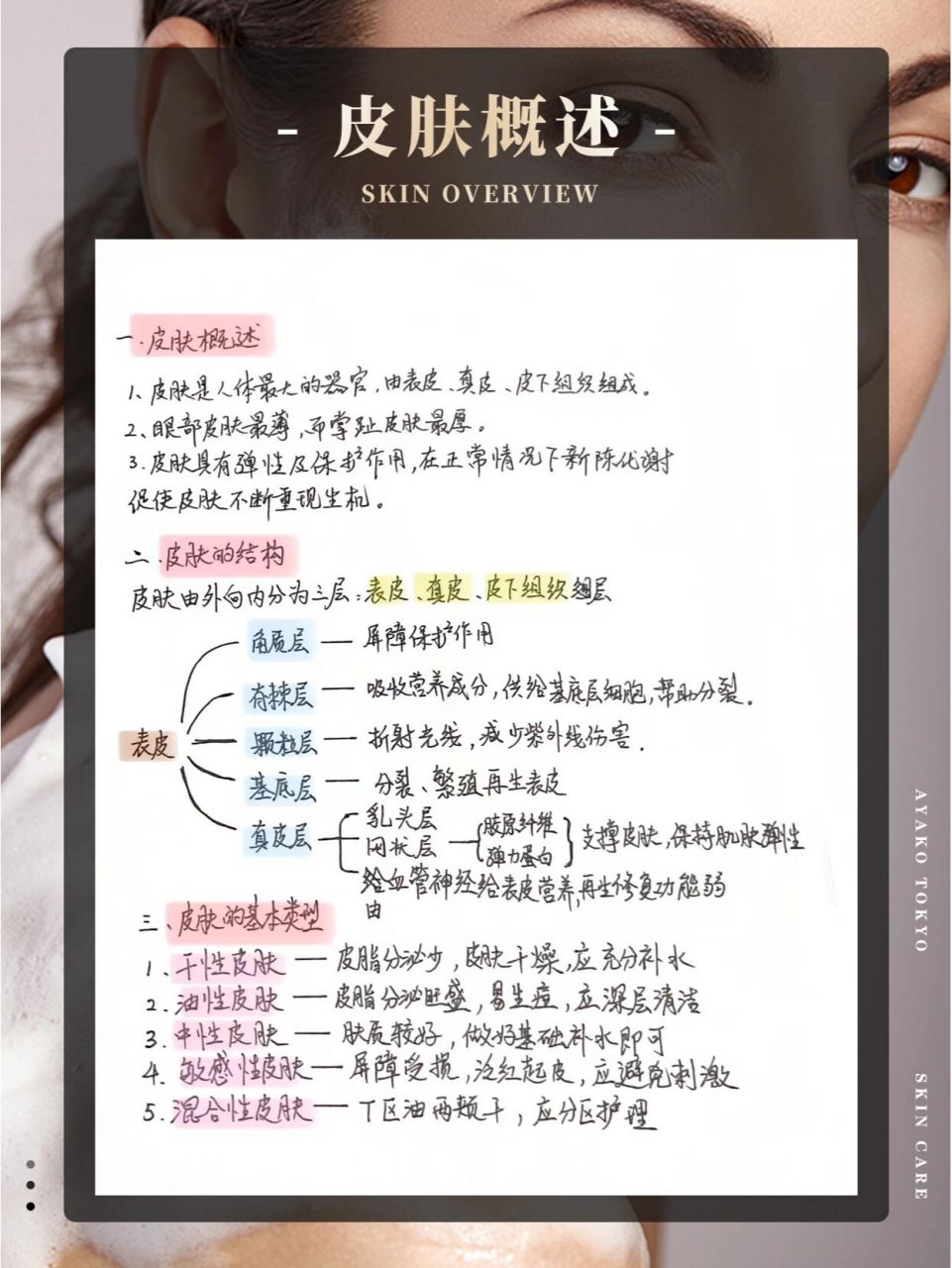 美容院员工必背|3大皮肤基础知识笔记分享 专业知识储备是皮肤管理