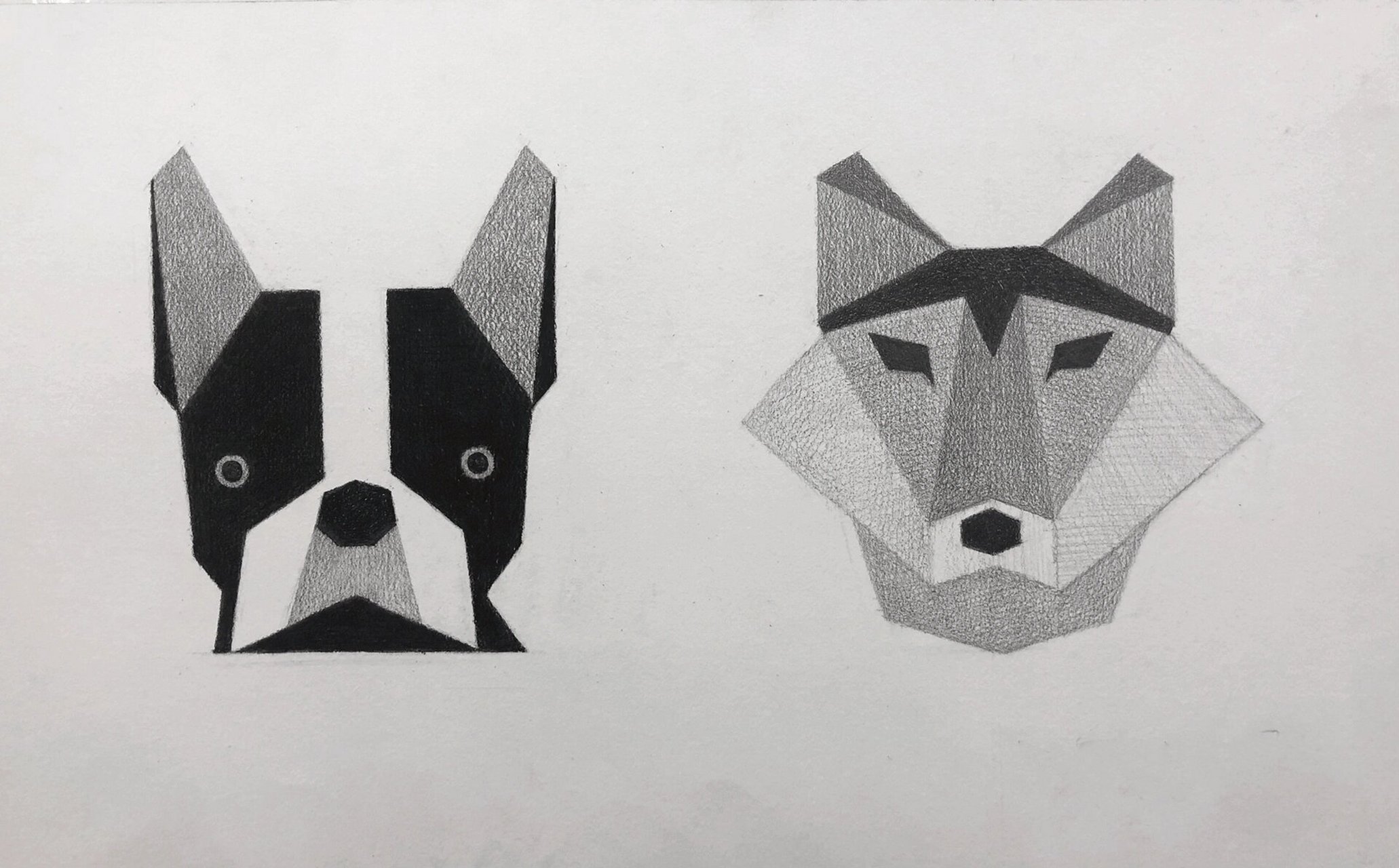 初学素描先画啥 对于素描初学者来说,从平面几何图形入手是一种比较