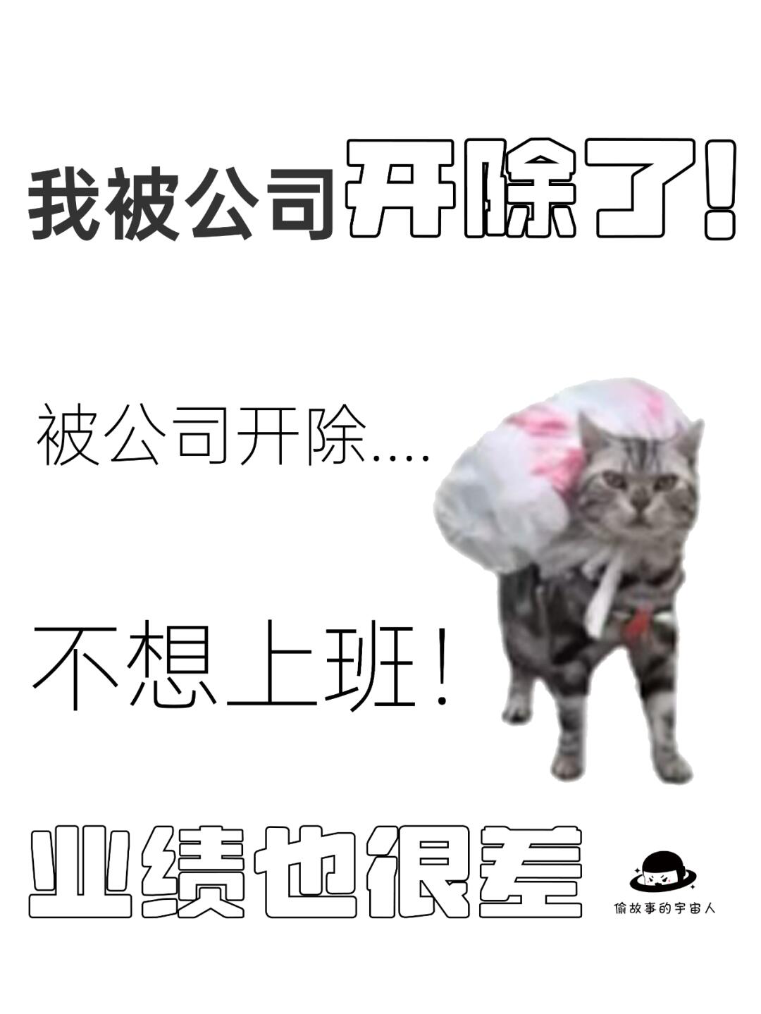 我被公司开除了.