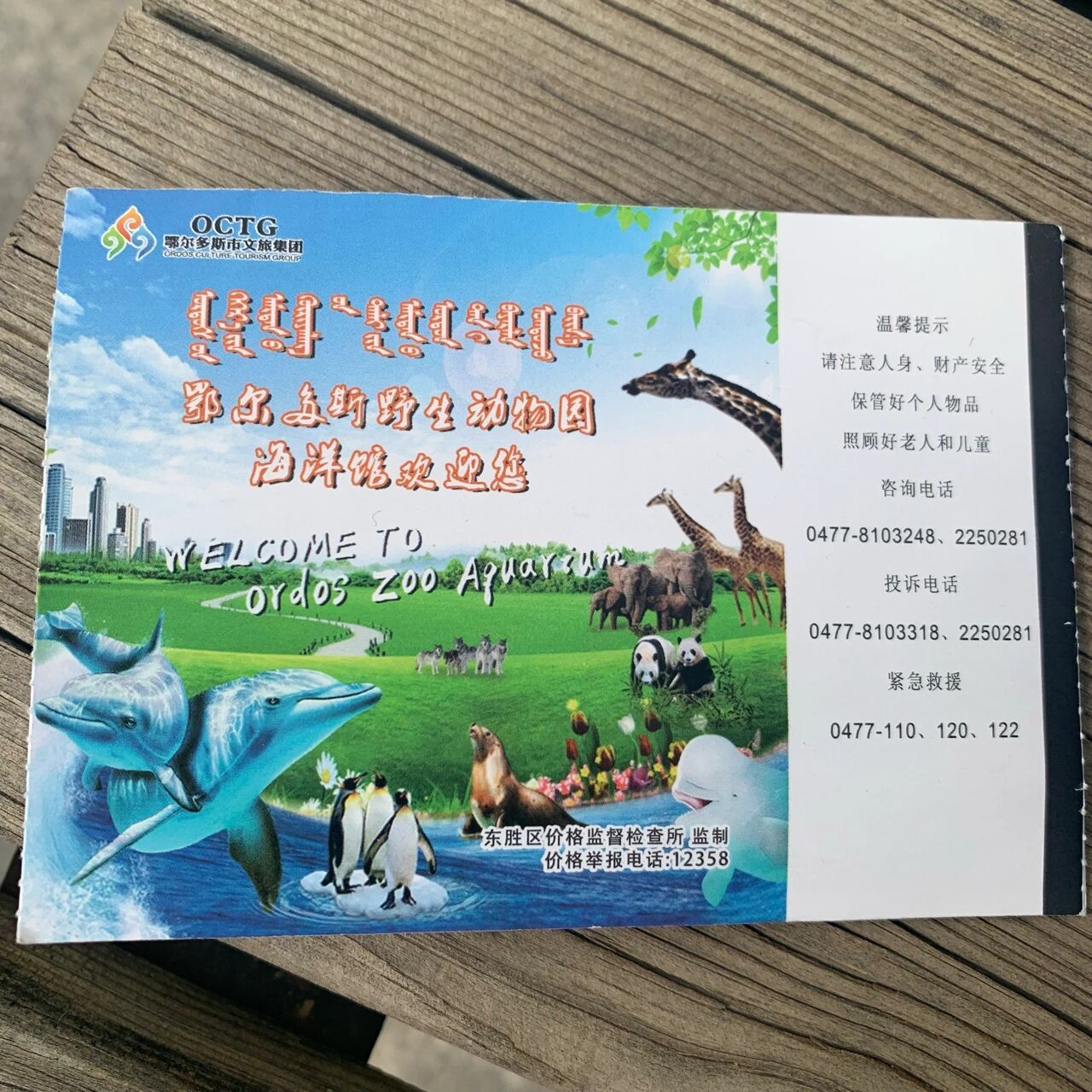 98鄂尔多斯野生动物园/海洋馆纯干货分享   十一期间为了赶一波人潮