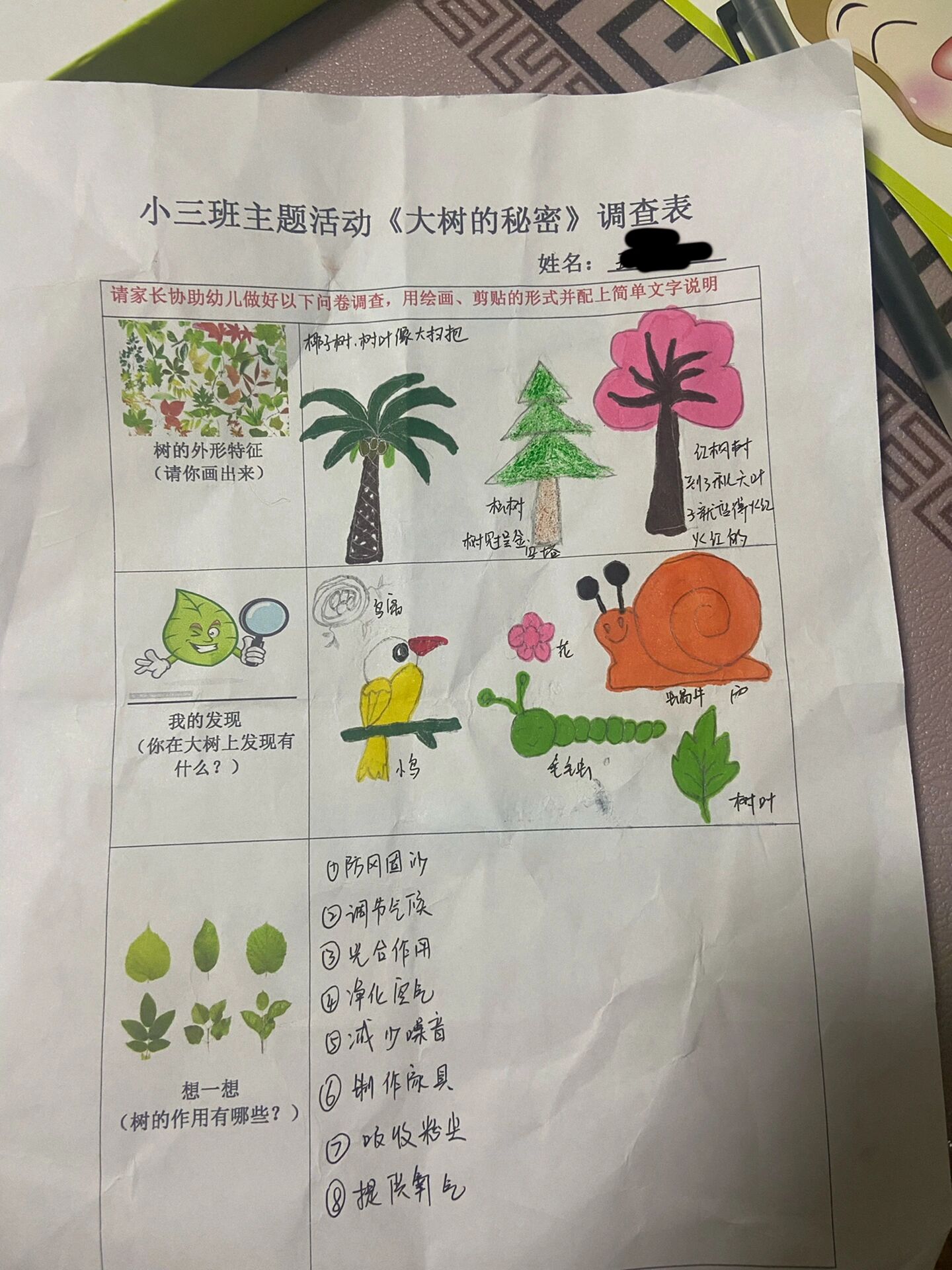 幼儿园大树调查表图片图片