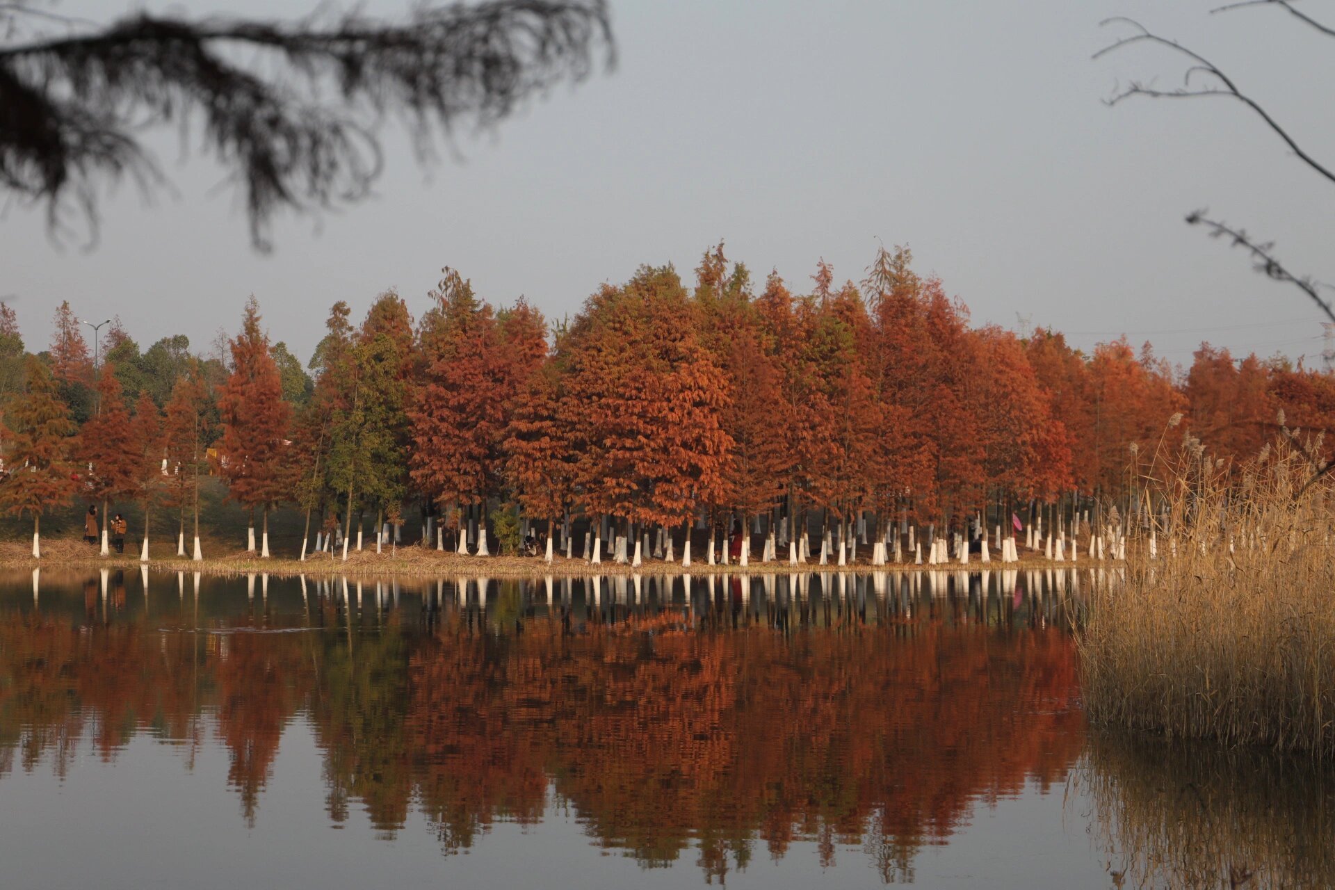 秋与远方,星沙松雅湖随手拍 十一预告片,远方有美景.