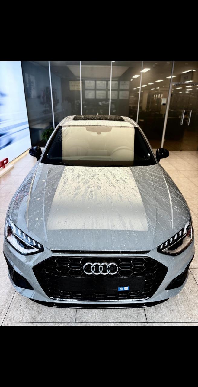 他来了,他来了,"纳多灰"a4l他来了奥迪a4l