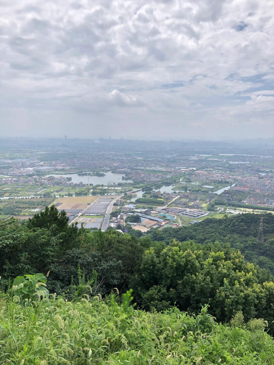 杭州上班族挑战每周出游第一站|白龙寺 位于杭州萧山区瓜沥镇的白龙寺