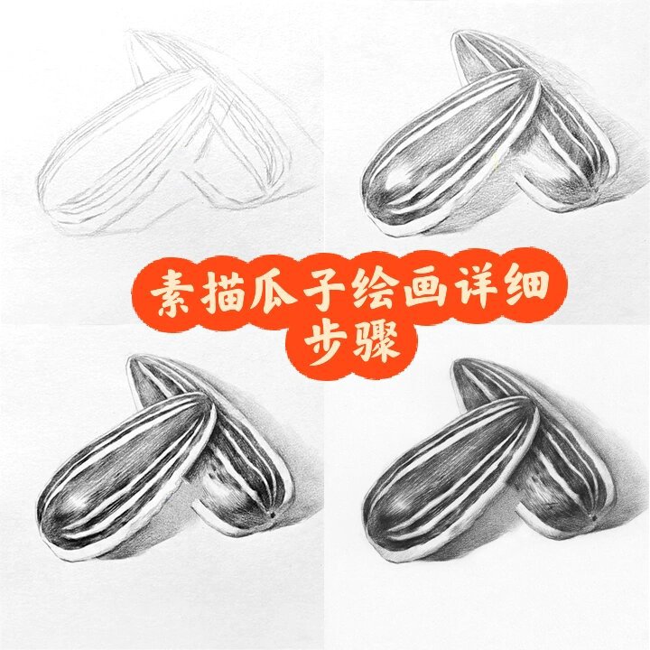 素描瓜子绘画详细步骤