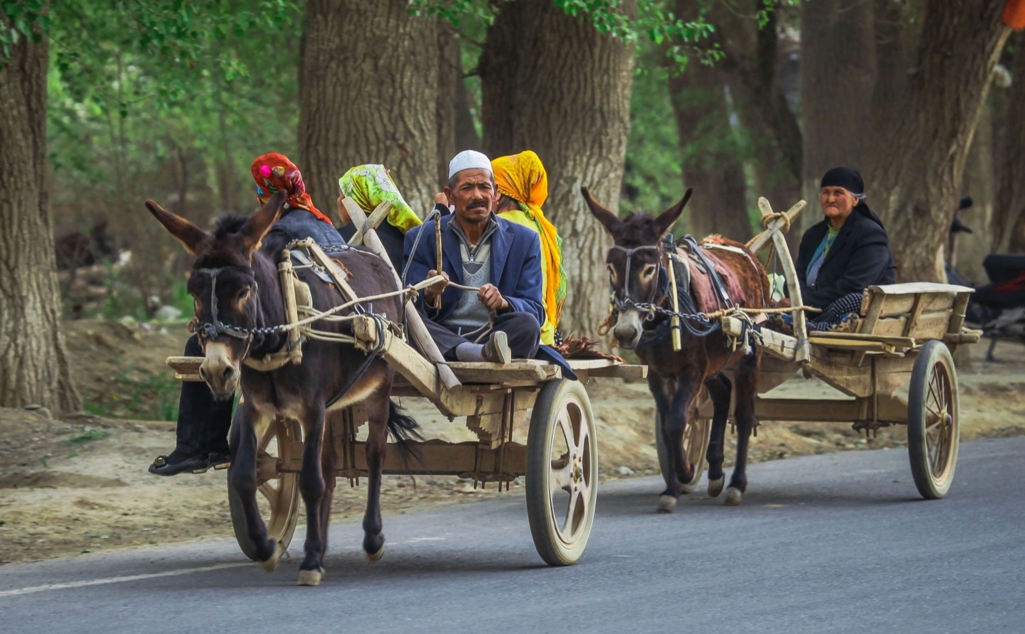 来到南疆的农村,几乎无处不见毛驴车,特别是到了巴扎日(赶集日),南来
