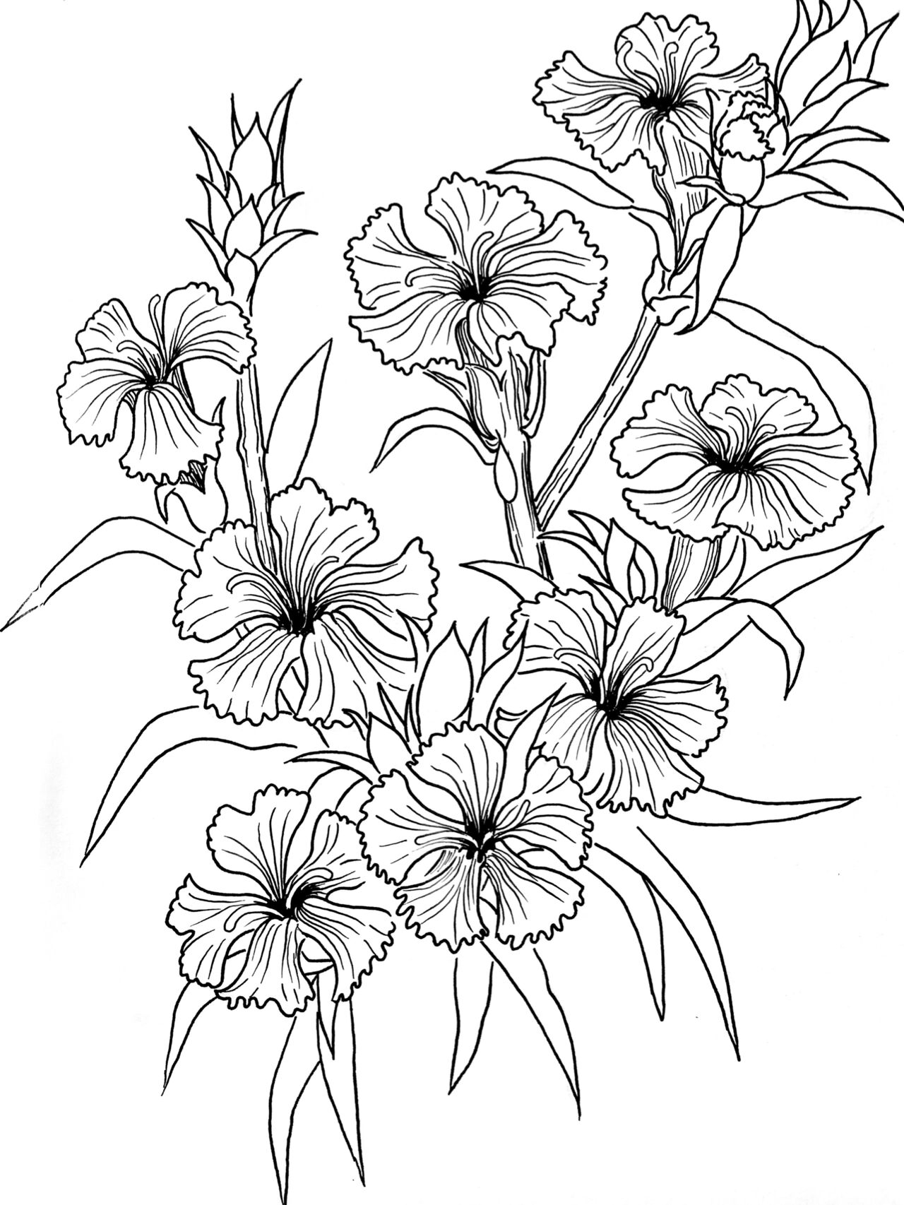 05针管笔画花蕊,花瓣和枝干暗部; 4-用0.1画花蕾的细节