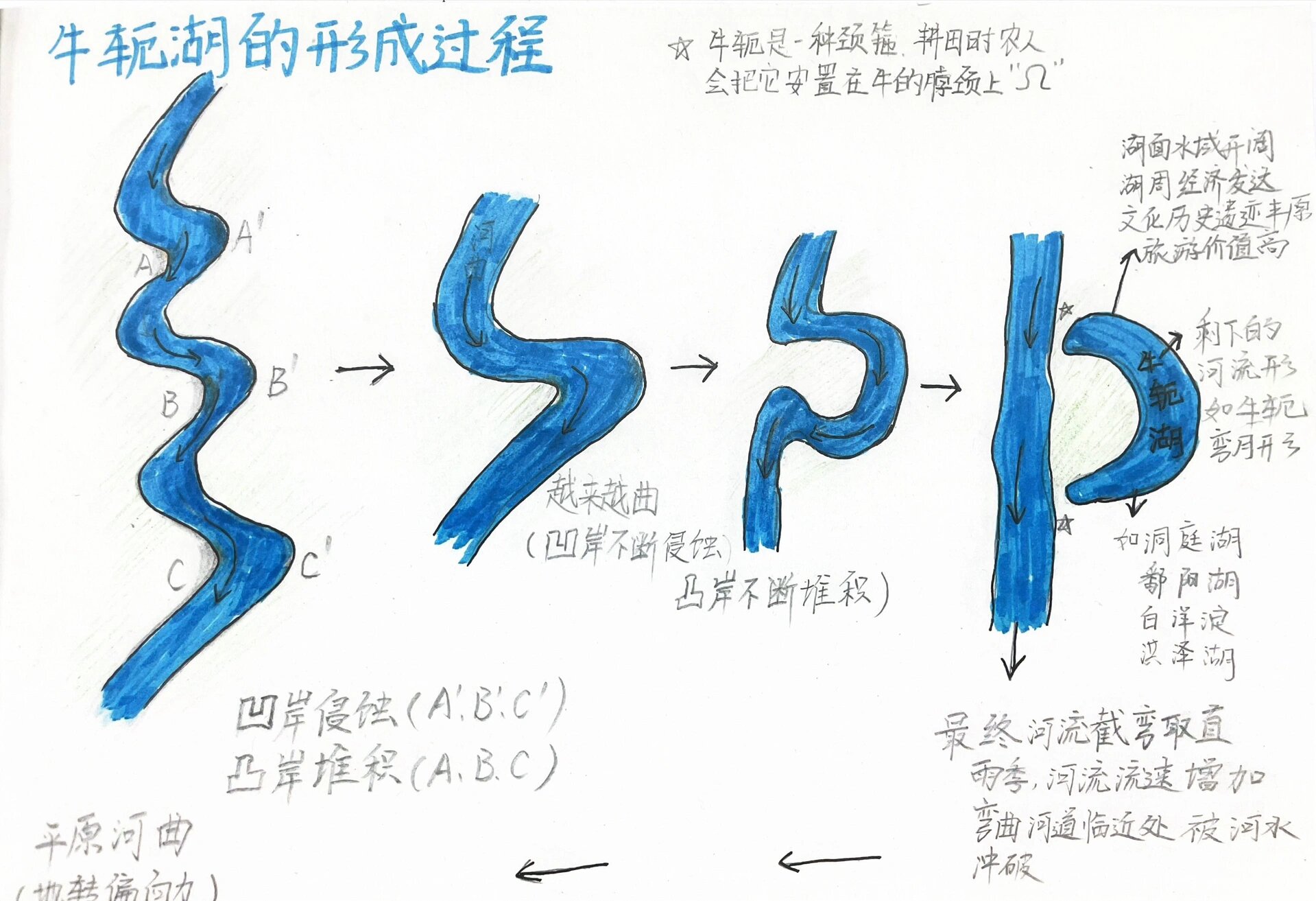 牛轭湖形成过程