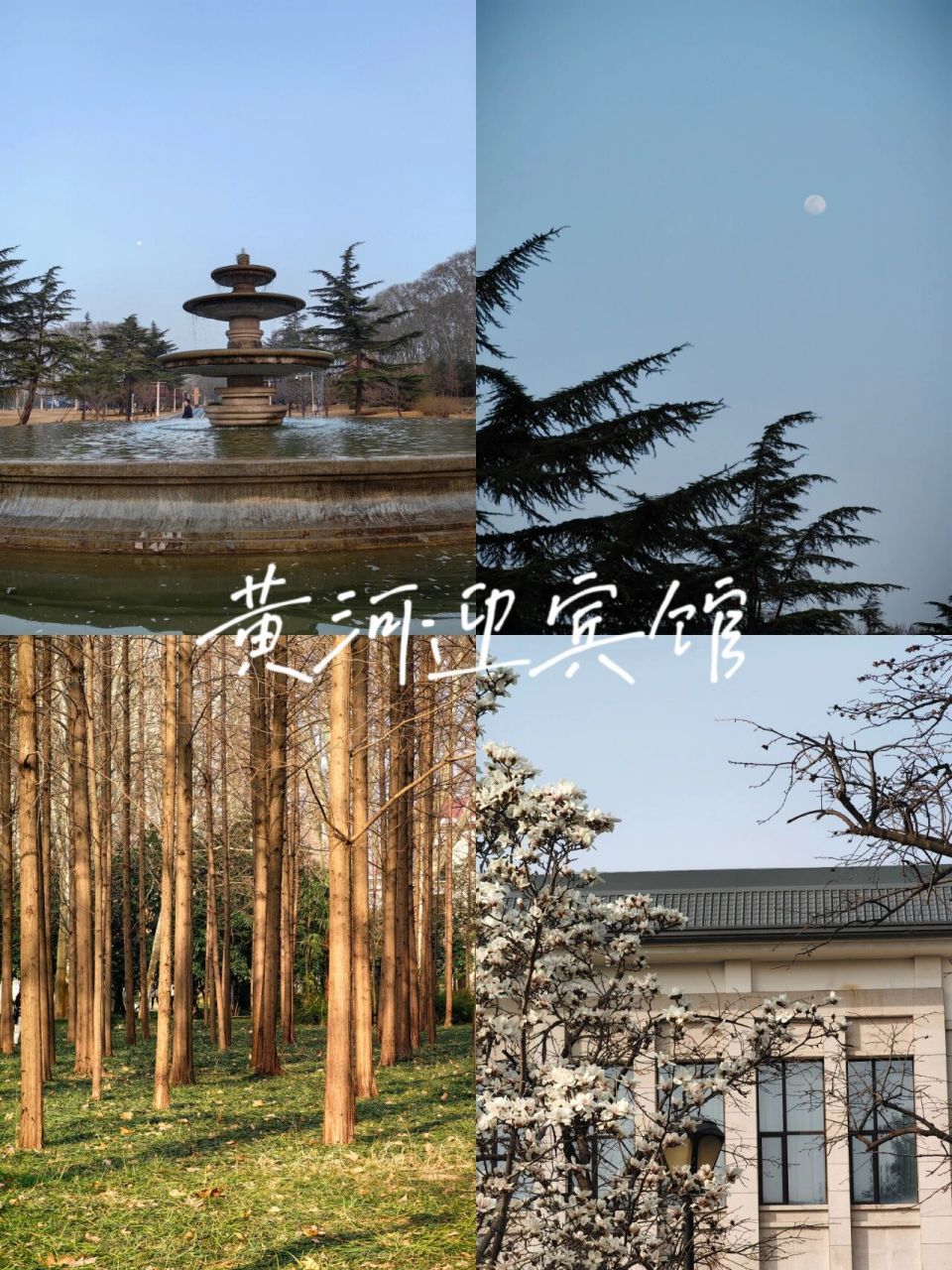 郑州黄河迎宾馆︳休闲时光︳拍照圣地 "不知道去哪的时候     就抬头