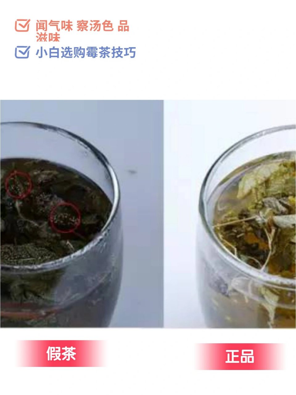 莓茶真假辨别图片图片