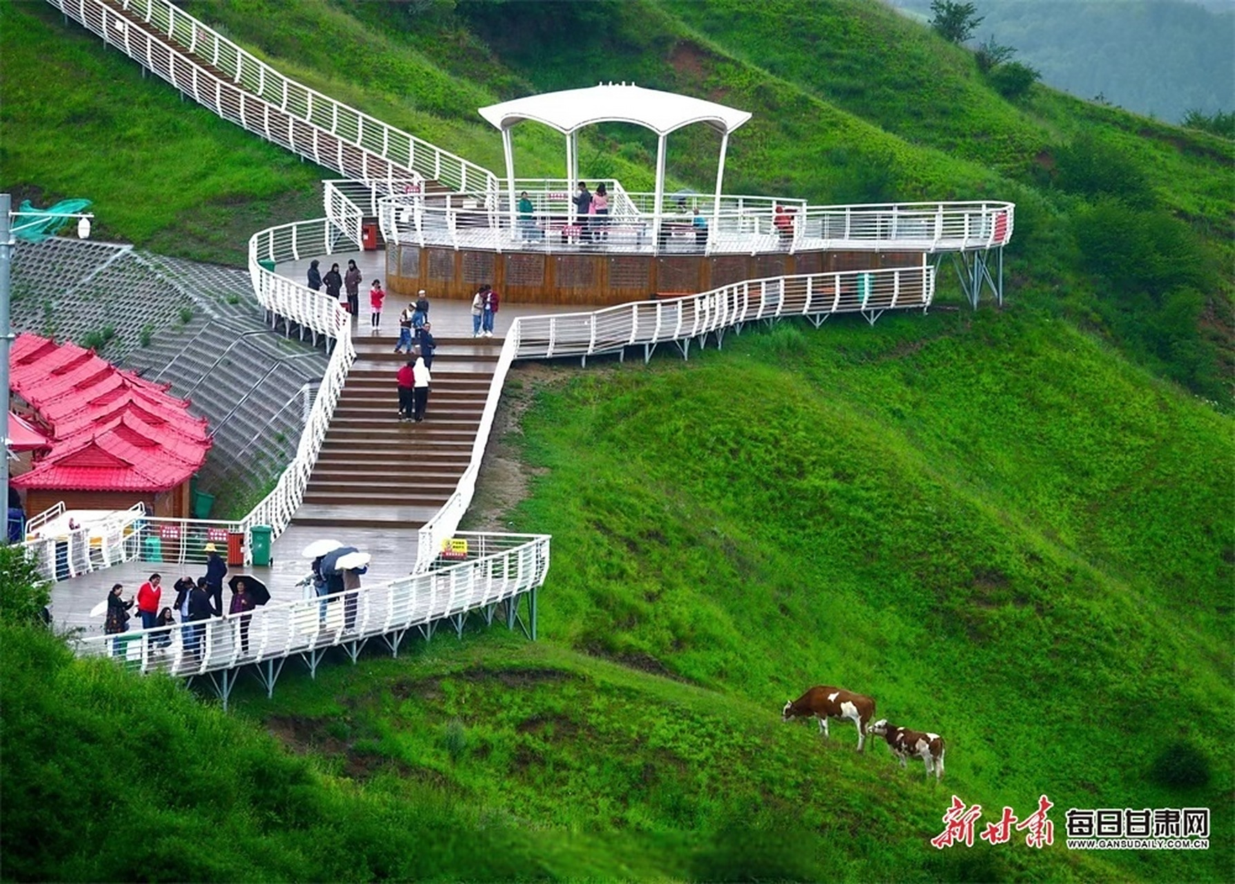 在临夏耳子屲梁远眺太子山 交响丝路·如意甘肃 #临夏文化旅游#  盛夏