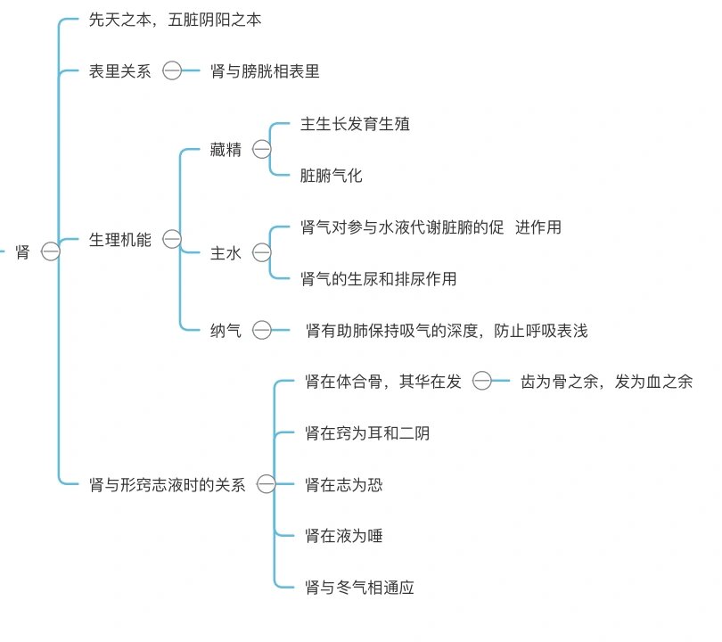 五脏思维导图——肾