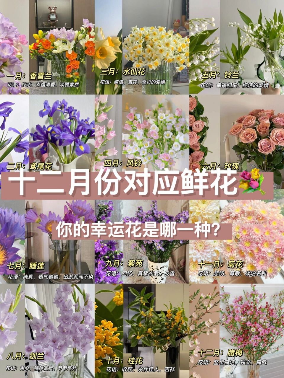 生日月份对应鲜花,送花选对不选贵 "人生有四季,四季有繁华" 给花友们