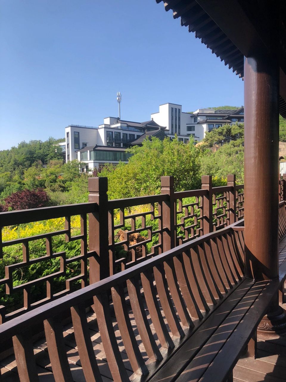 不想人挤人,所以和闺蜜两个人来泰安徂徕山温泉度假村过了46615天