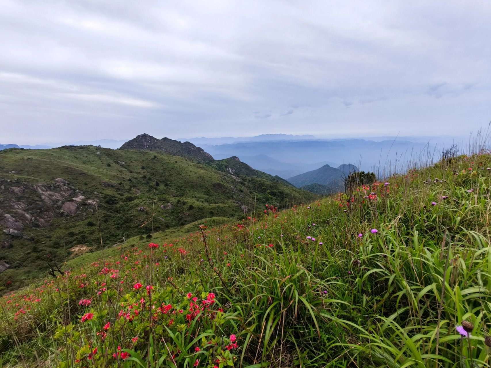 连州大东山,不愧是广东最仙气的徒步路线 "以蝼蚁之行,展鸿鹄之志.