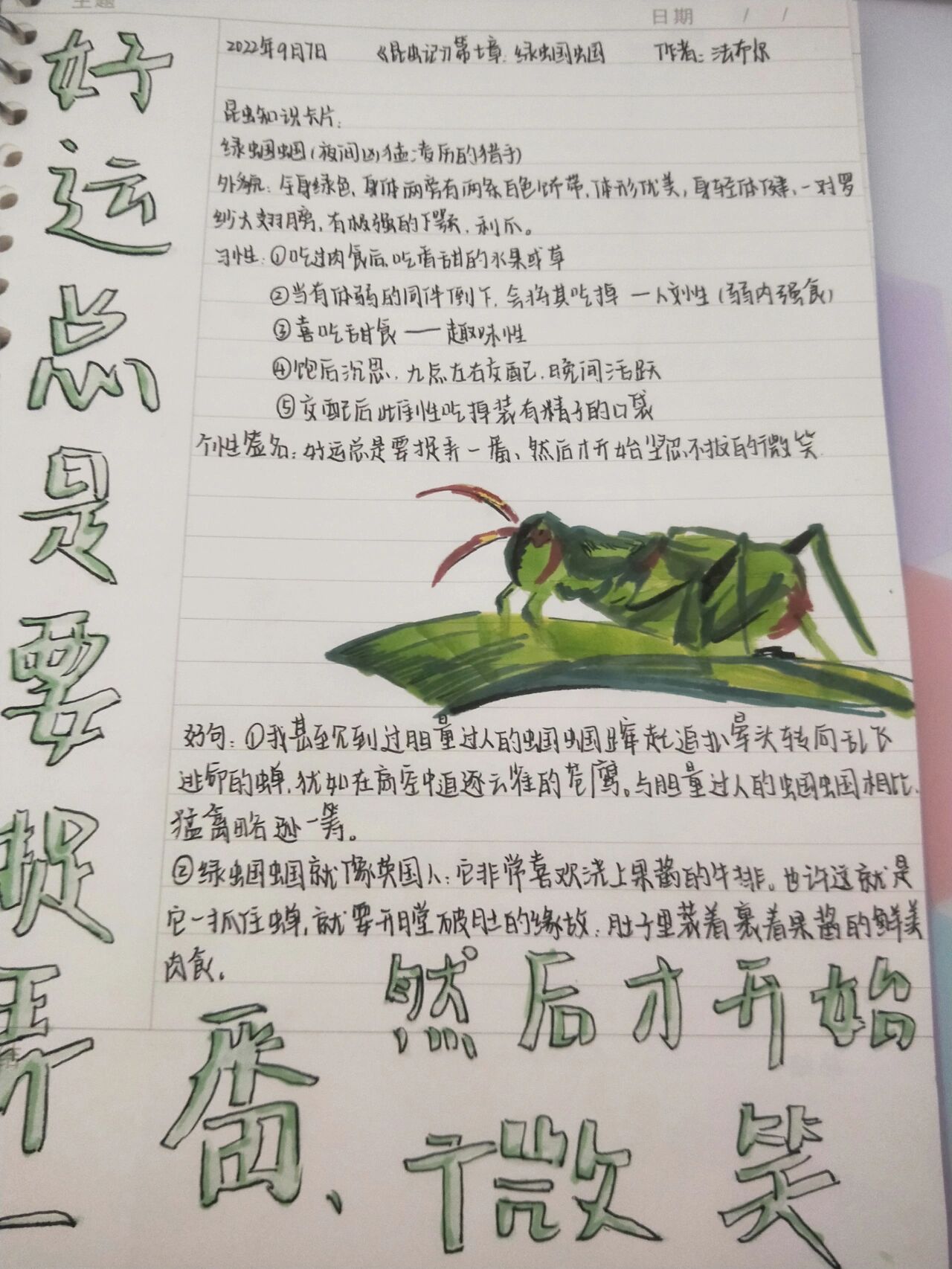 《昆虫记》法布尔第七张绿蝈蝈