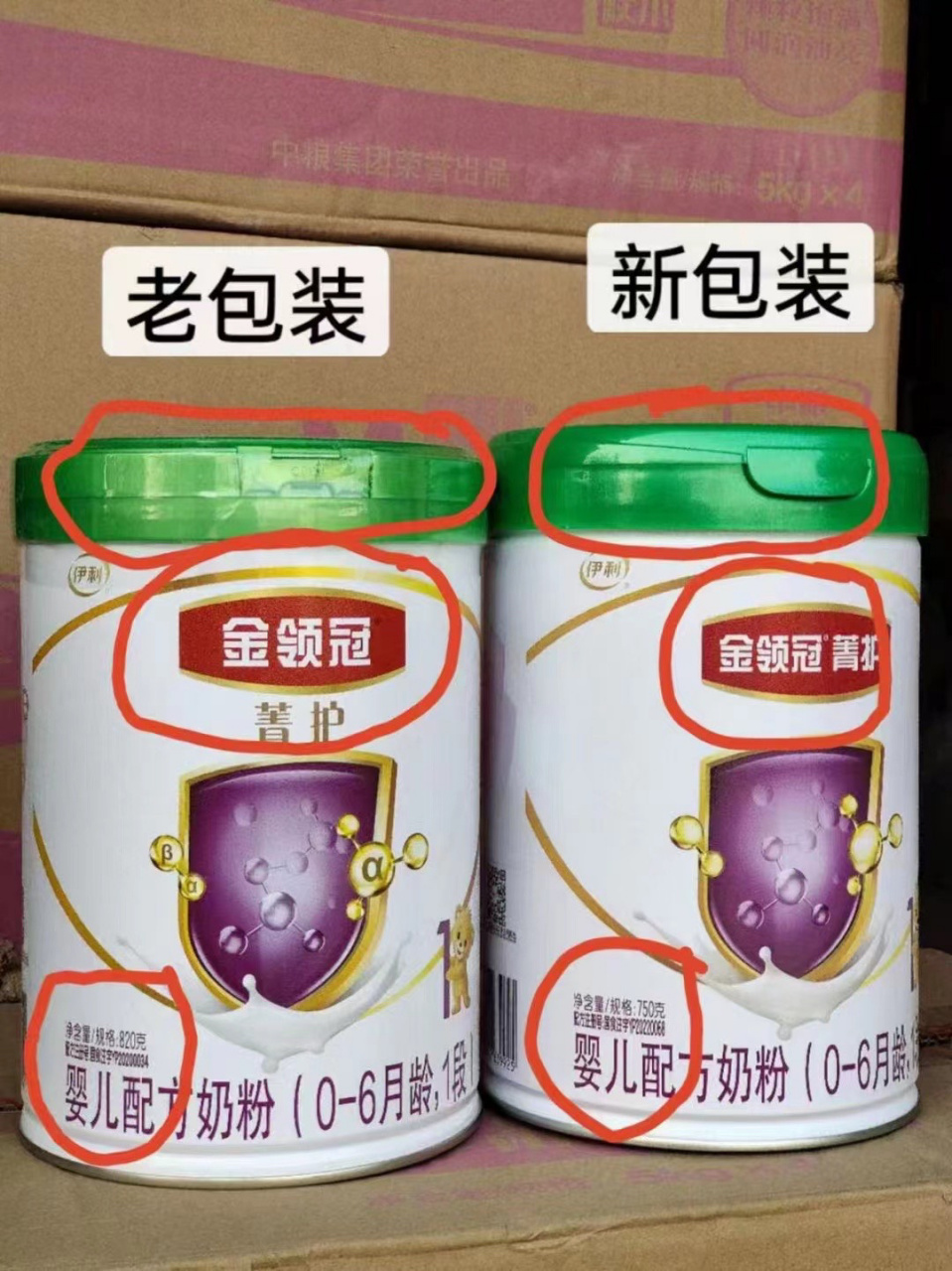 金领冠菁护新包装    有货哈