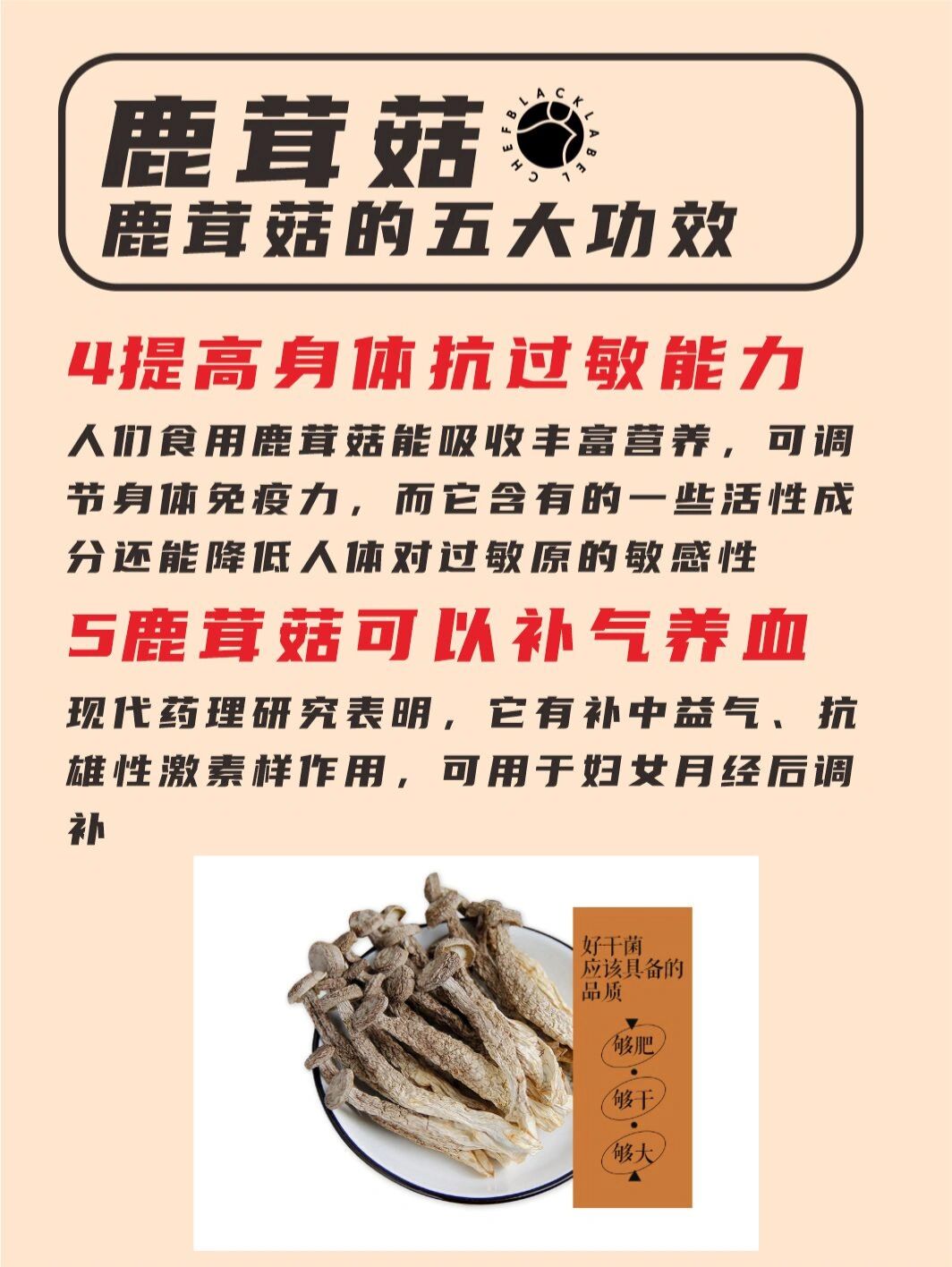 比肉还好吃的鹿茸菇7515功效及禁忌02 96鹿茸菇是一种味道鮮