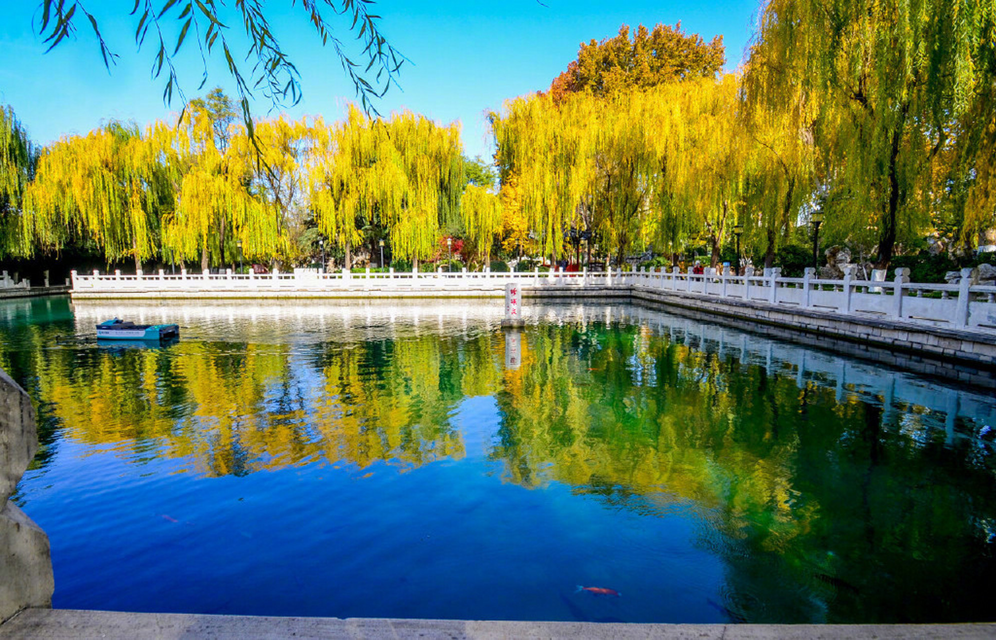 citywalk in 济南 冬日的珍珠泉沉静而宏阔,松柏苍翠,泉池楼阁错落有