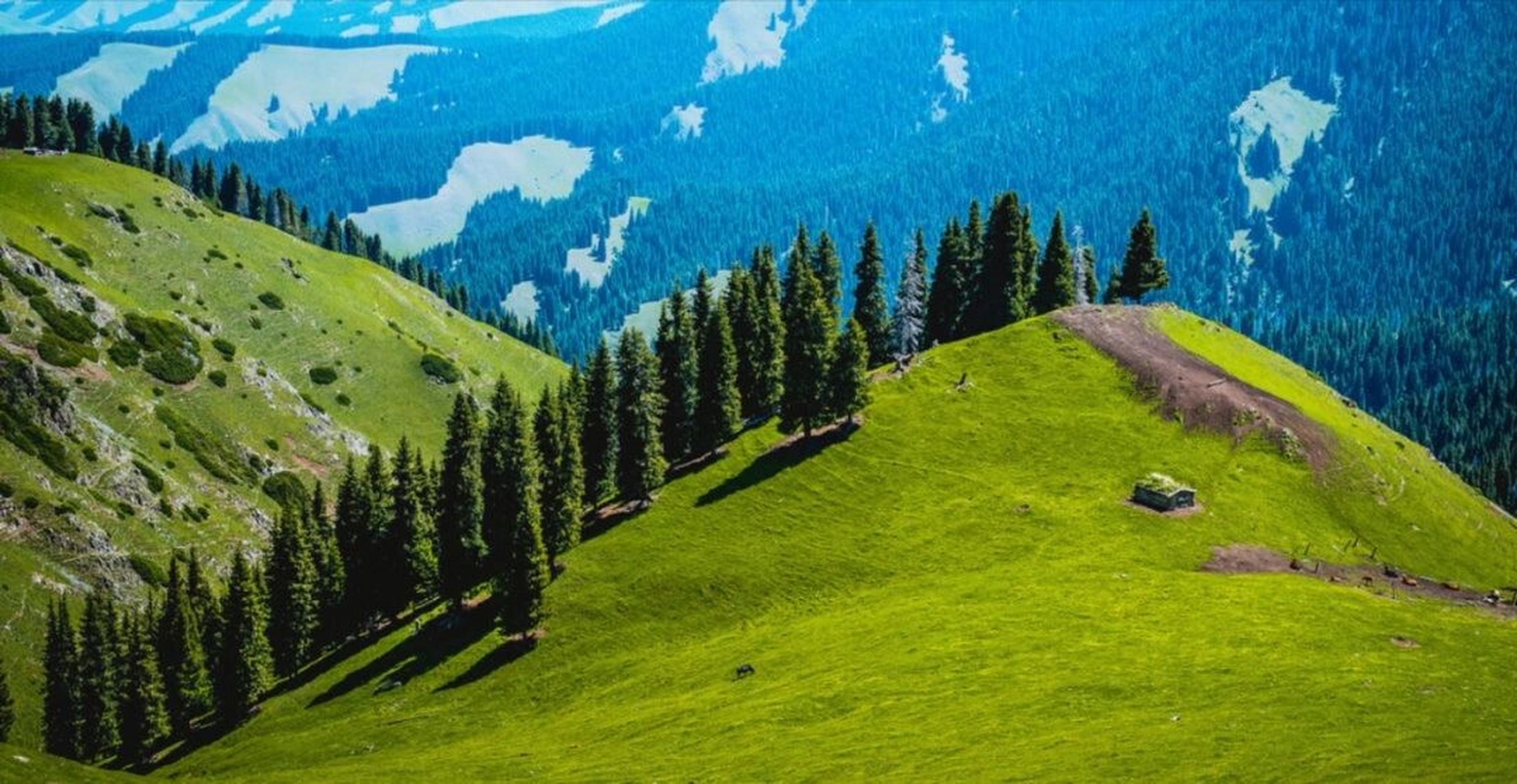 南山牧场——属于湖南的大草原 避署胜地——湖南邵阳南山牧场 位于